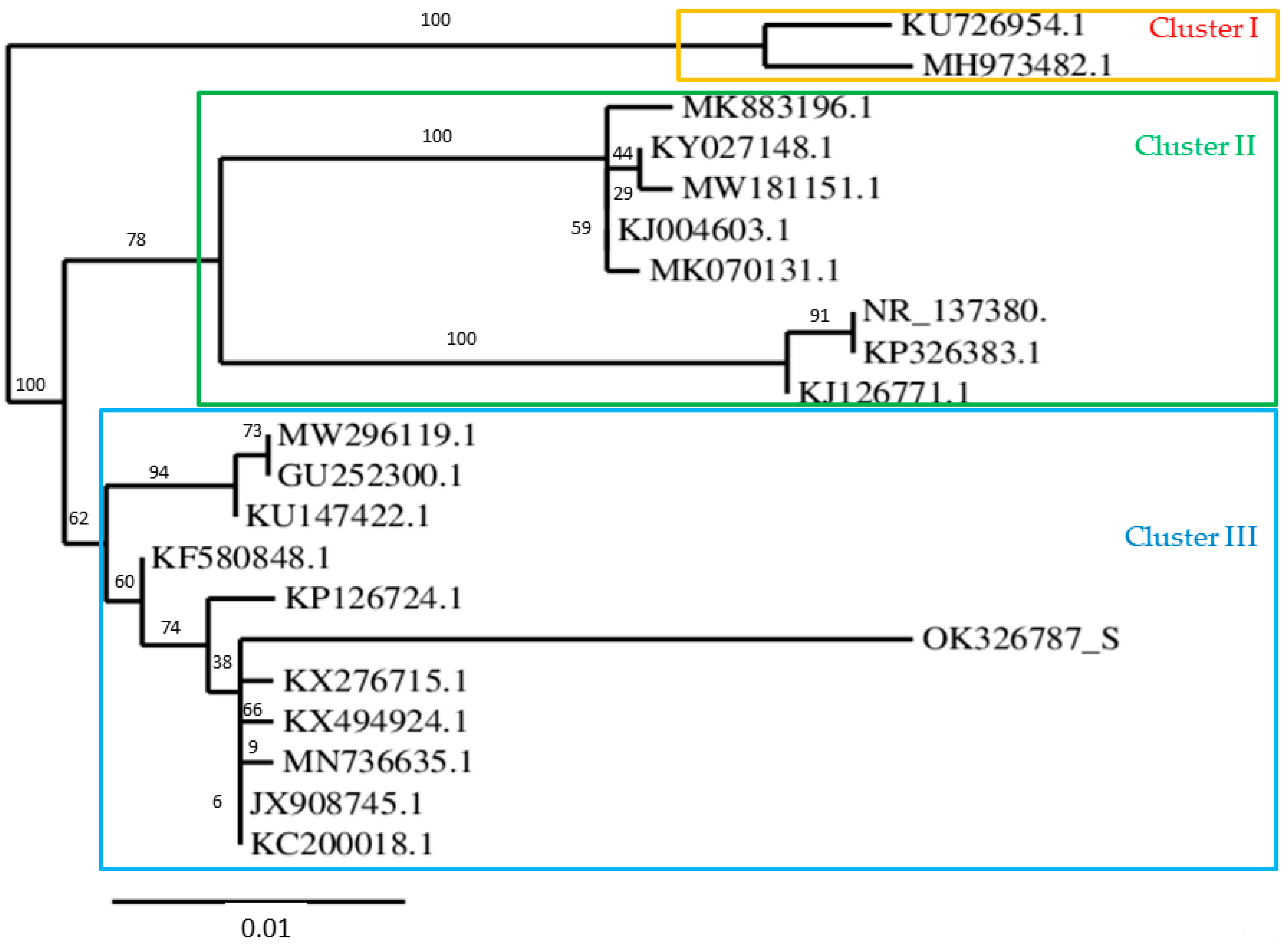 Molecules 28 01912 g001