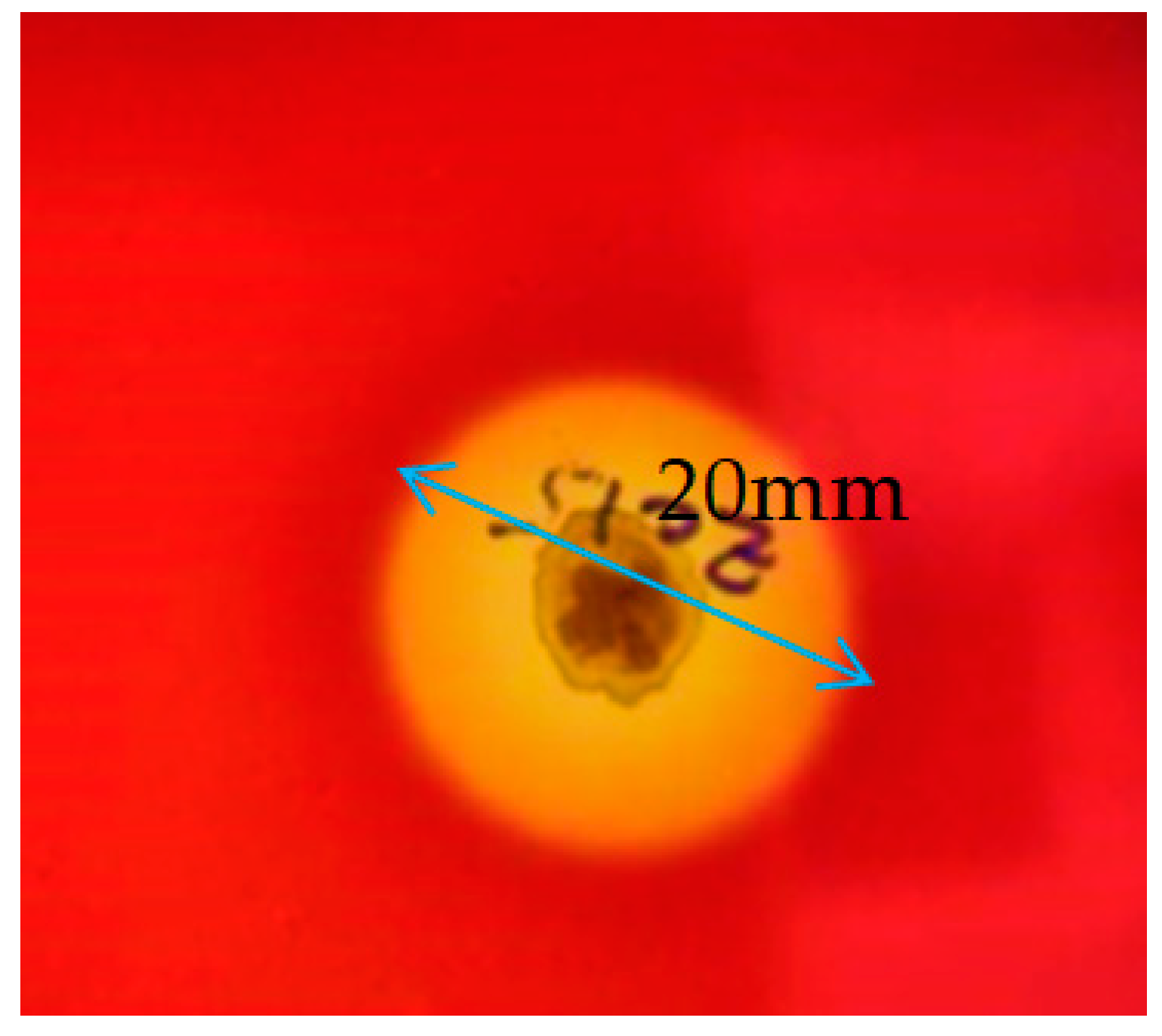 Molecules 28 01912 g002