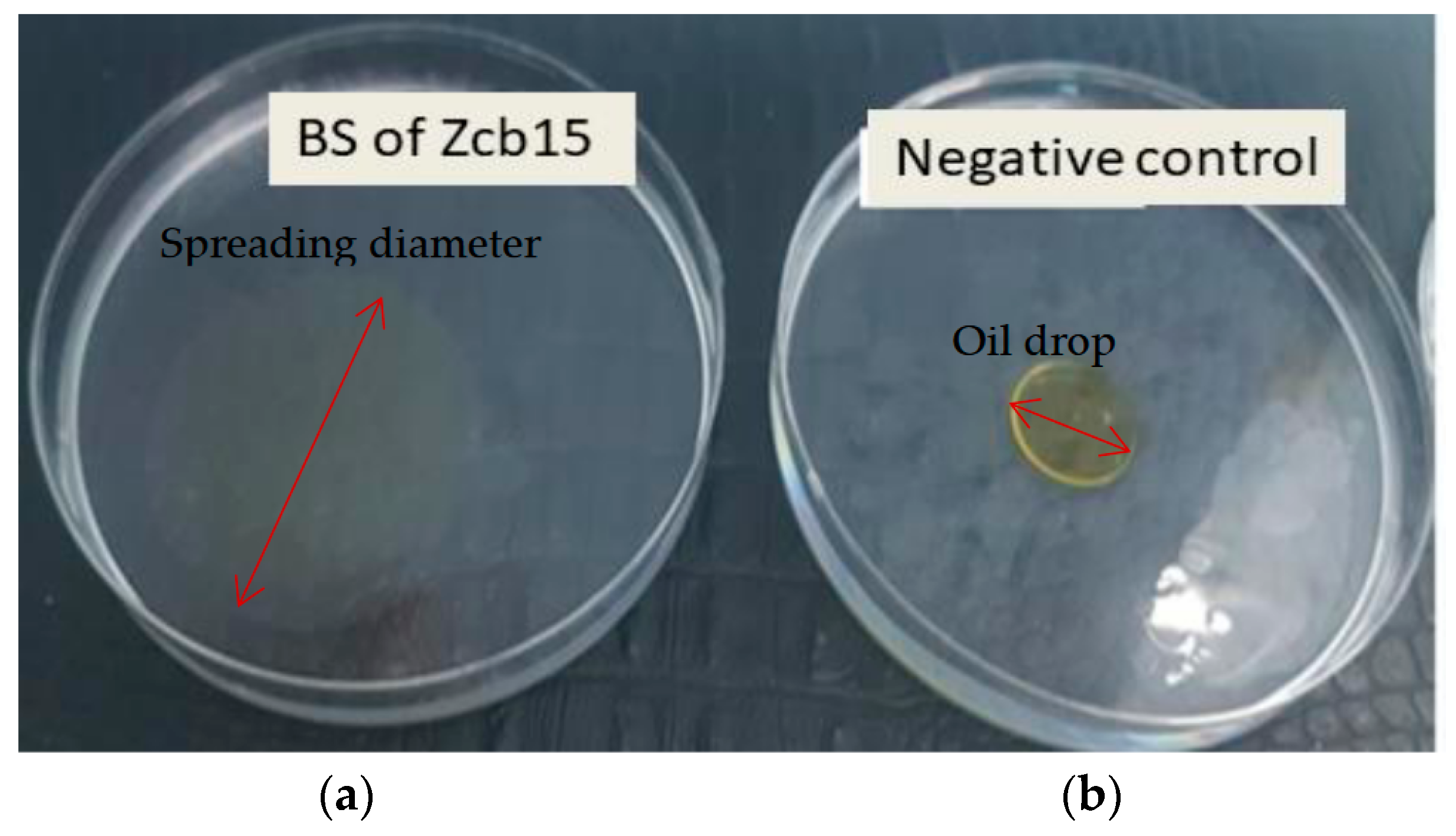 Molecules 28 01912 g003