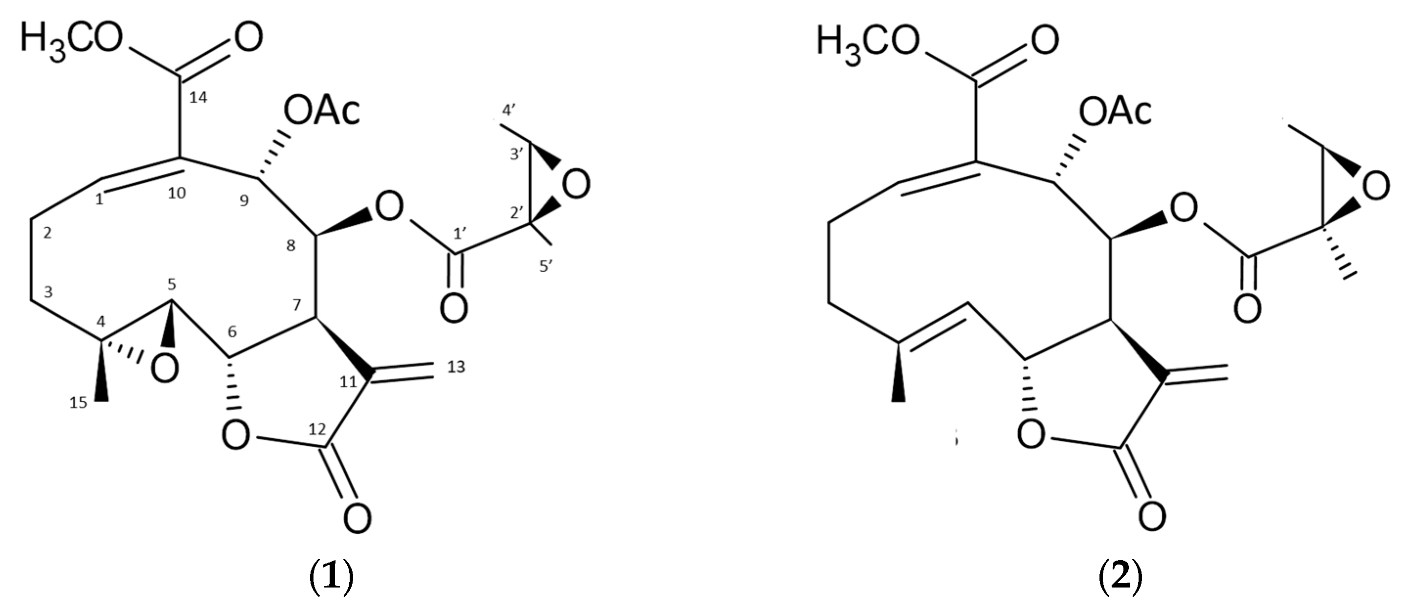 Molecules 28 01913 g002