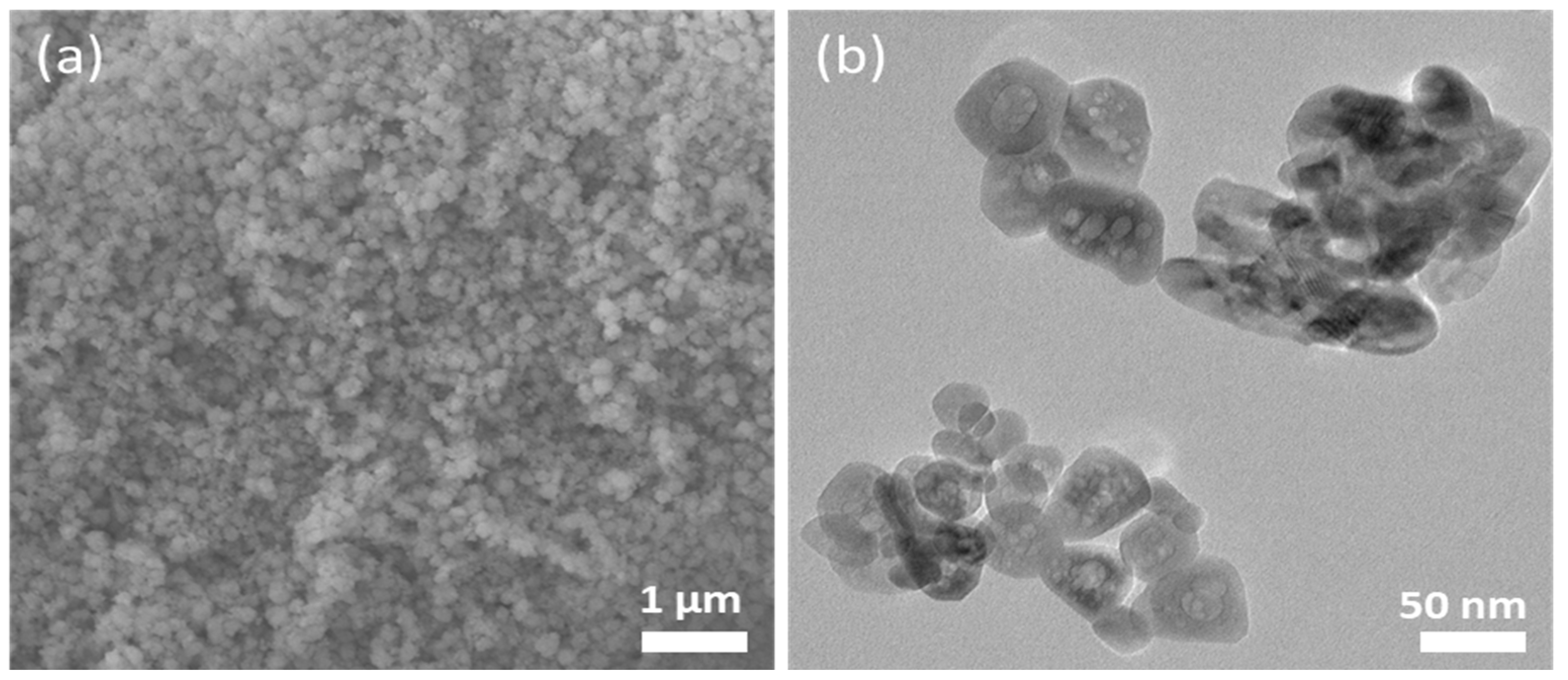Molecules 28 01914 g001