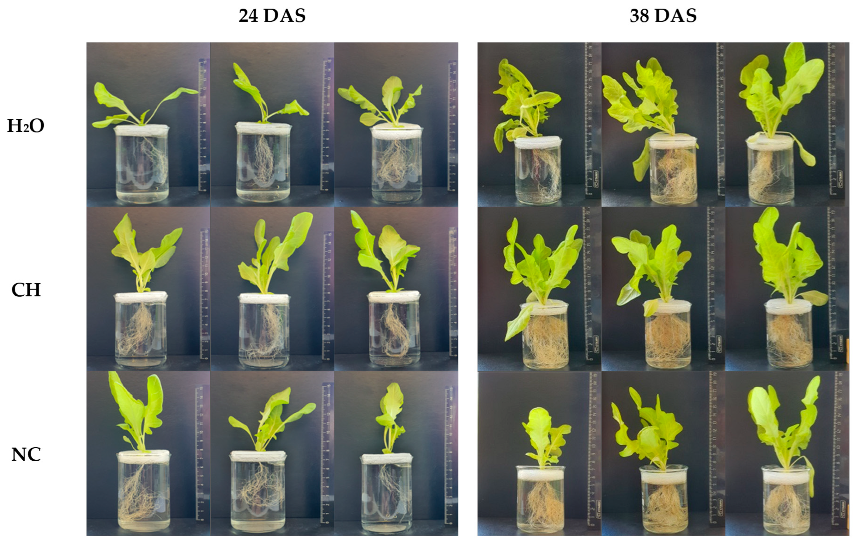 Molecules 28 01915 g002 Molecules 28 01915 g002