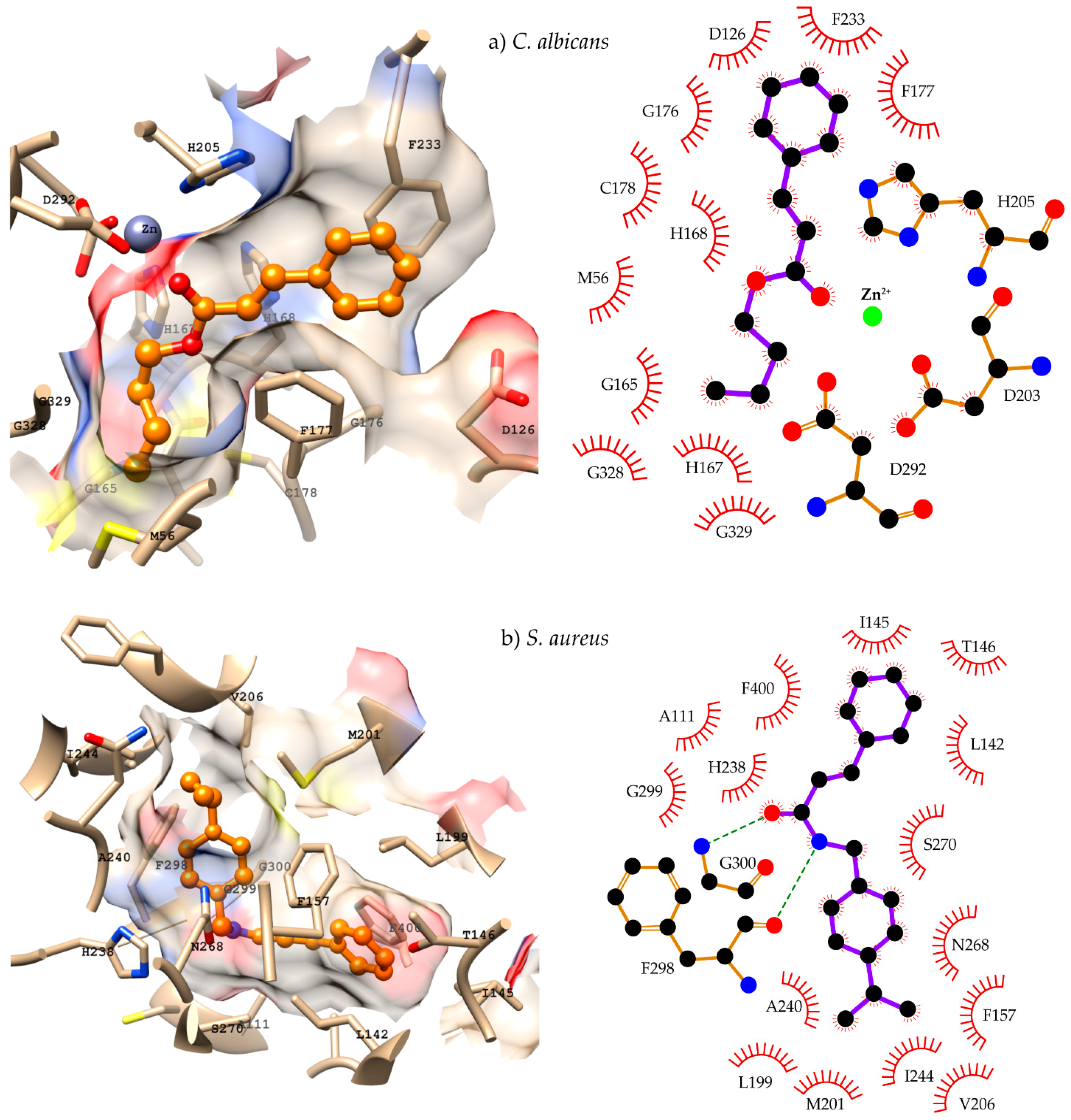 Molecules 28 01918 g004 Molecules 28 01918 g004