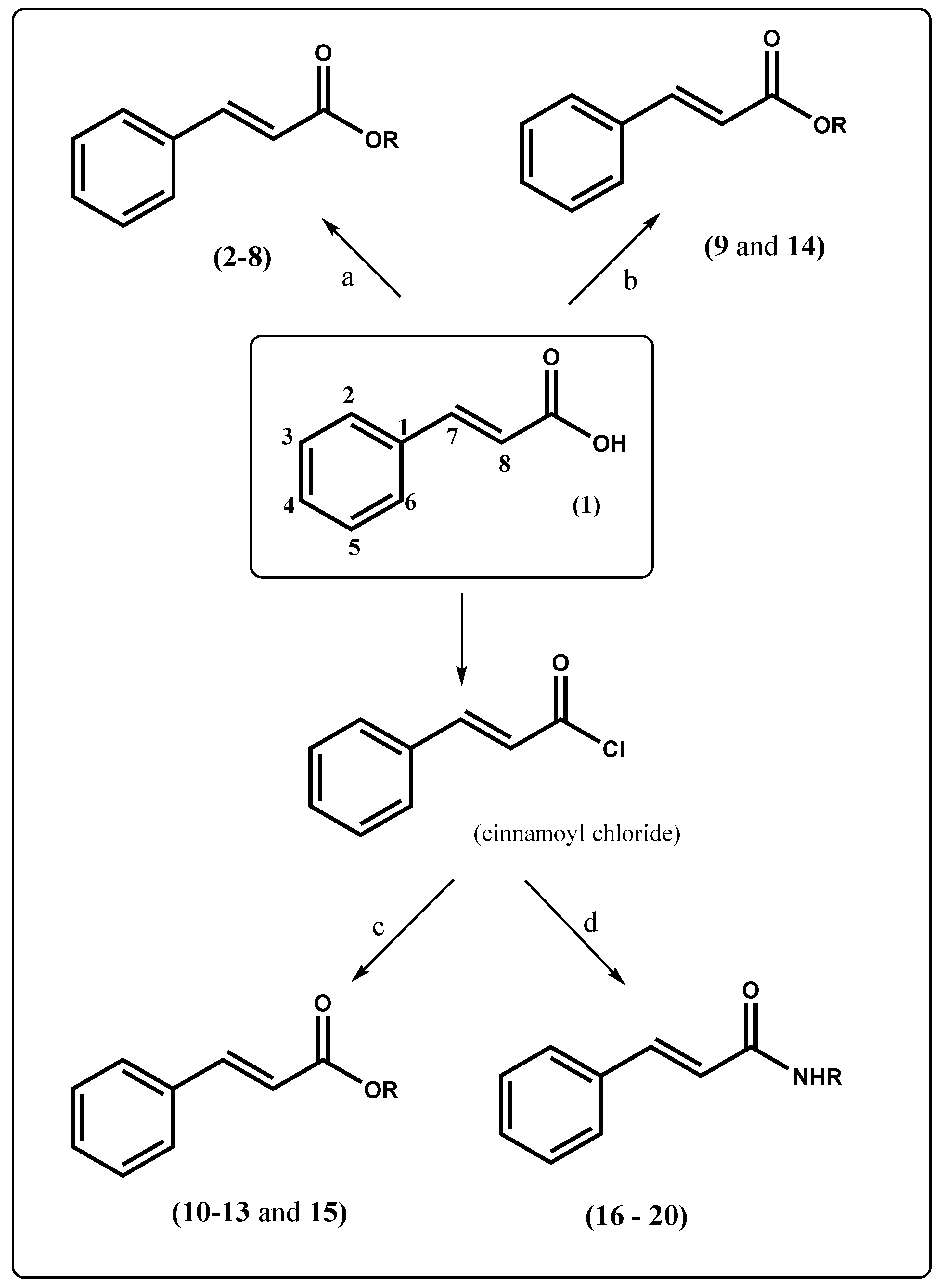 Molecules 28 01918 sch001 Molecules 28 01918 sch001