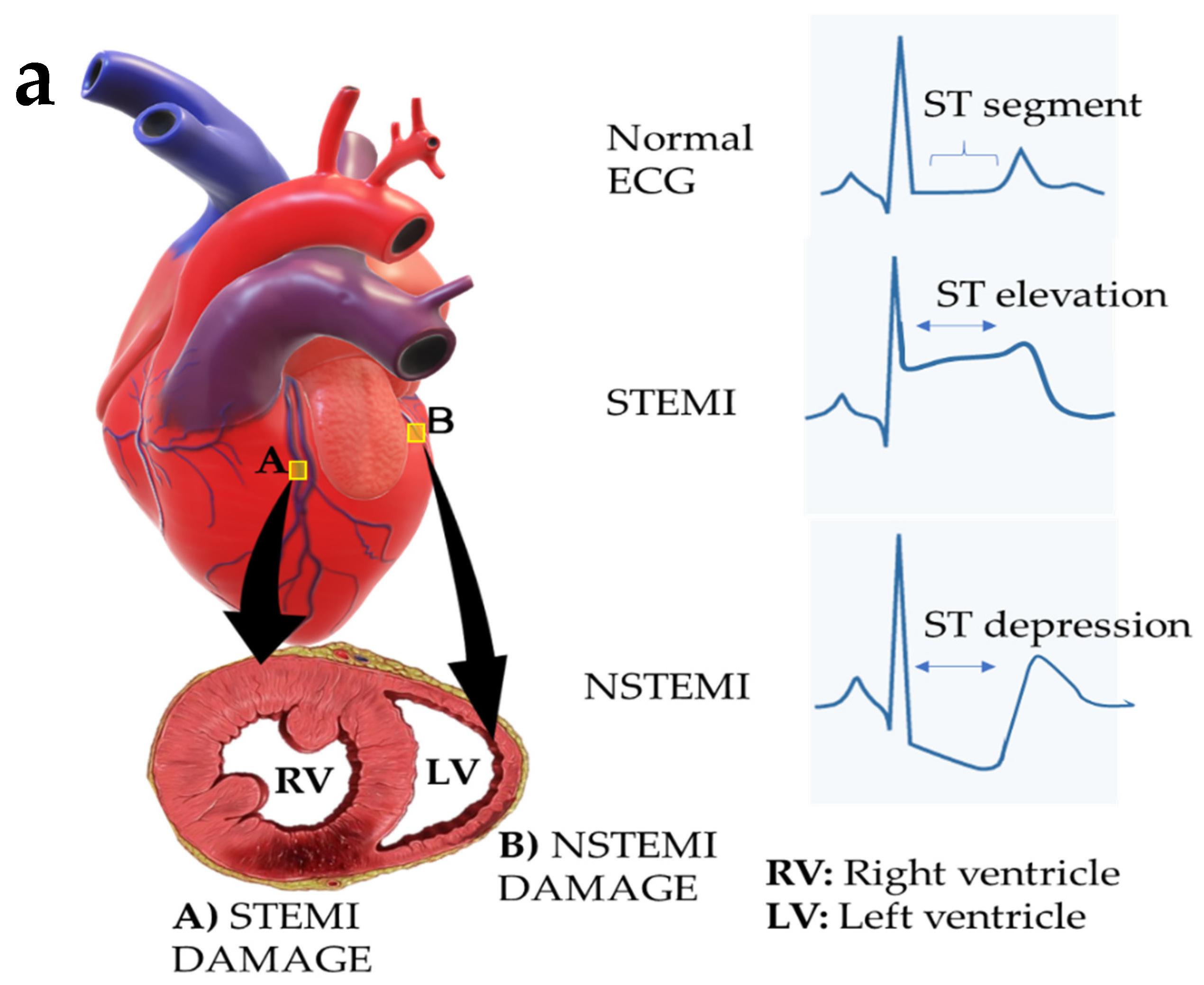 Molecules 28 01920 g002a