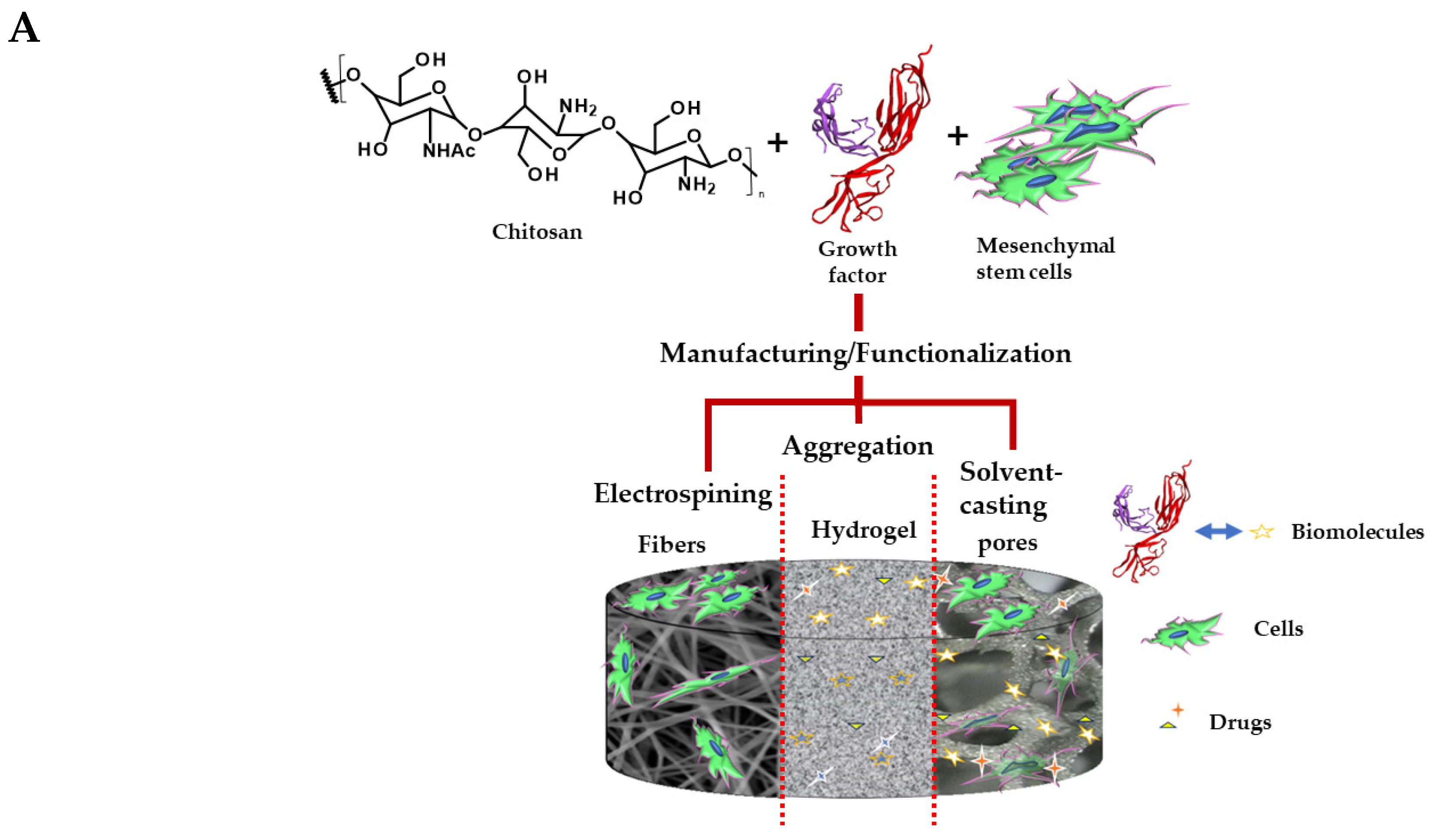 Molecules 28 01920 g004a