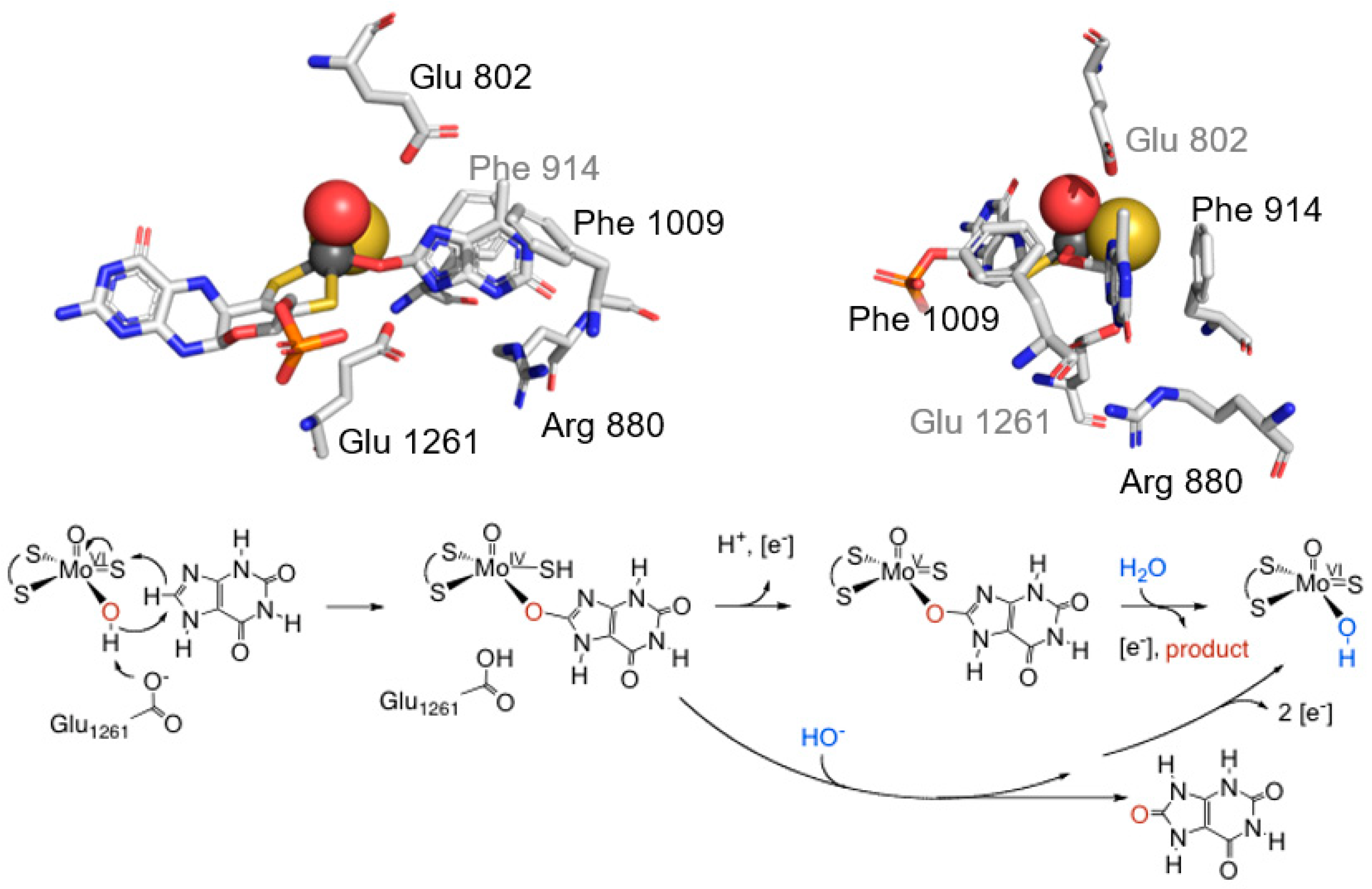 Molecules 28 01921 g008