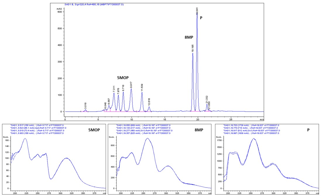 Molecules 28 01923 g003