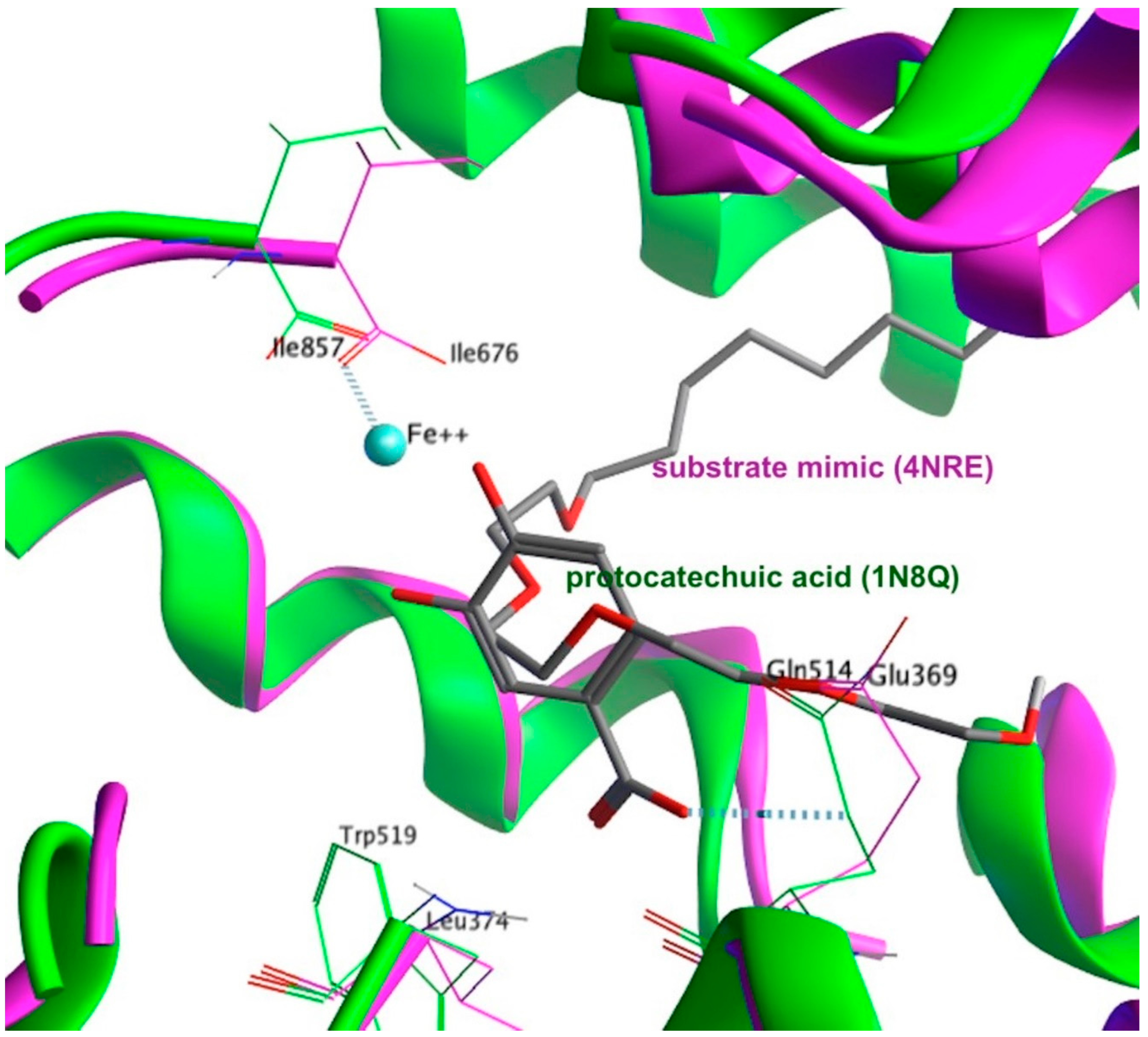 Molecules 28 01925 g005 Molecules 28 01925 g005