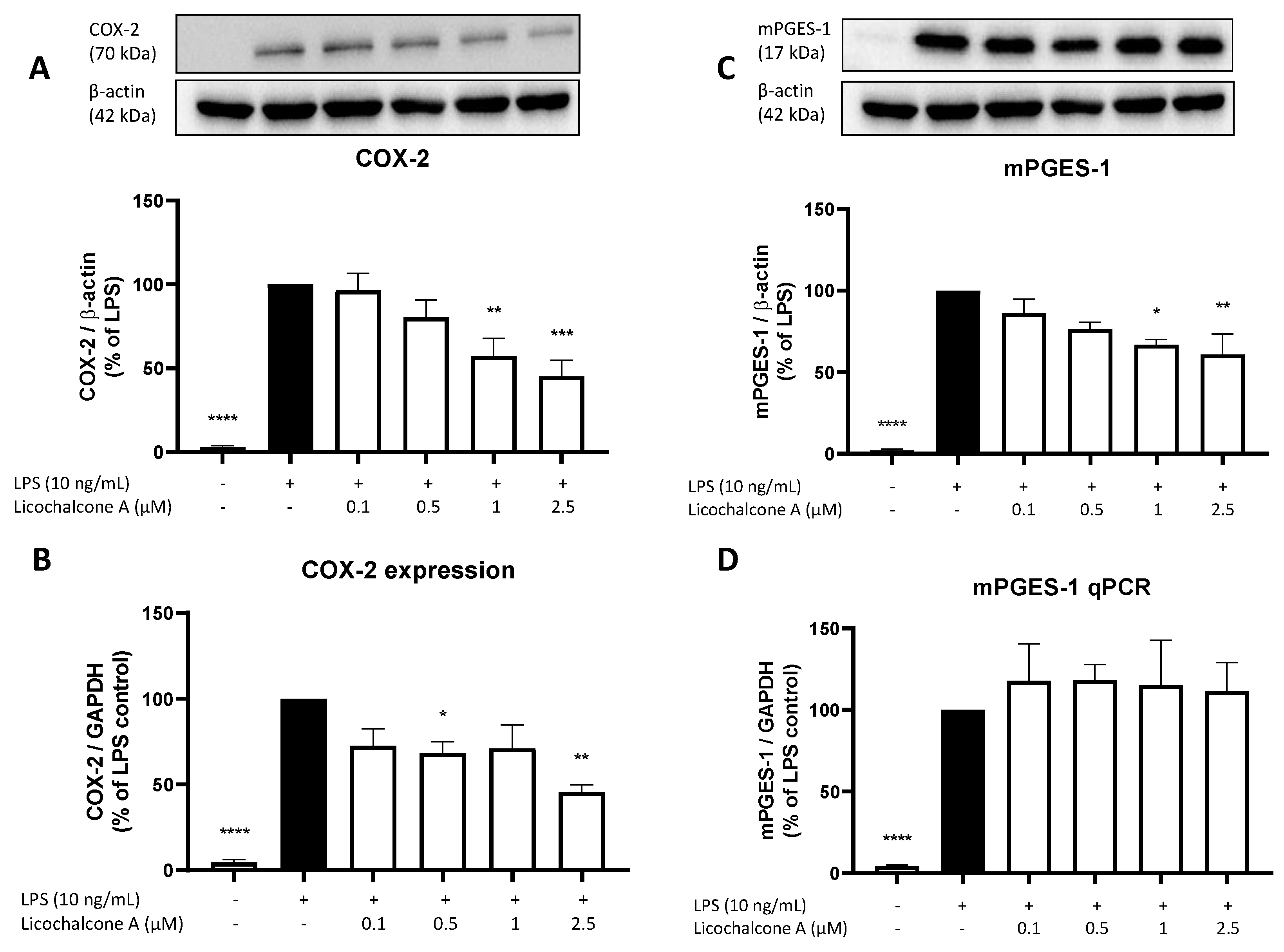 Molecules 28 01927 g003