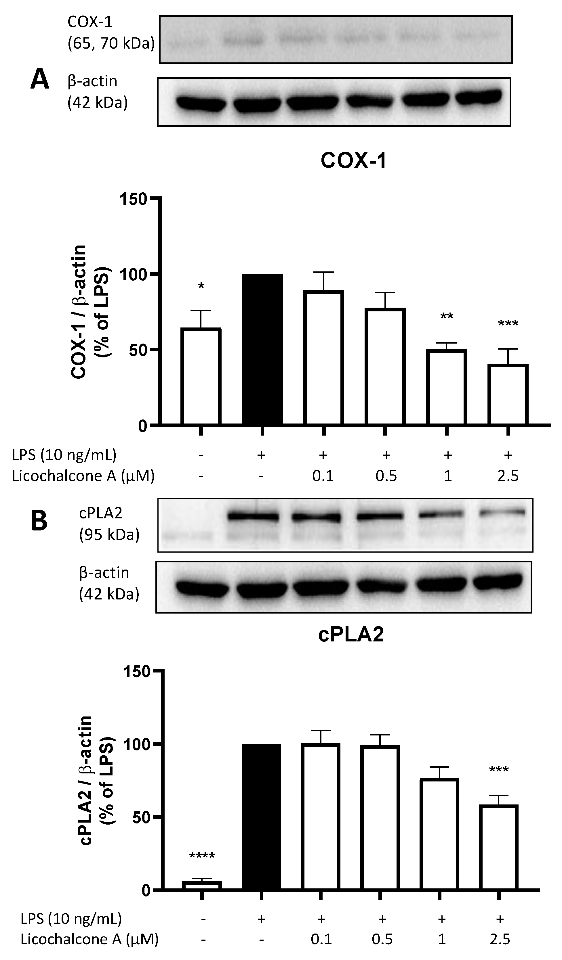 Molecules 28 01927 g004