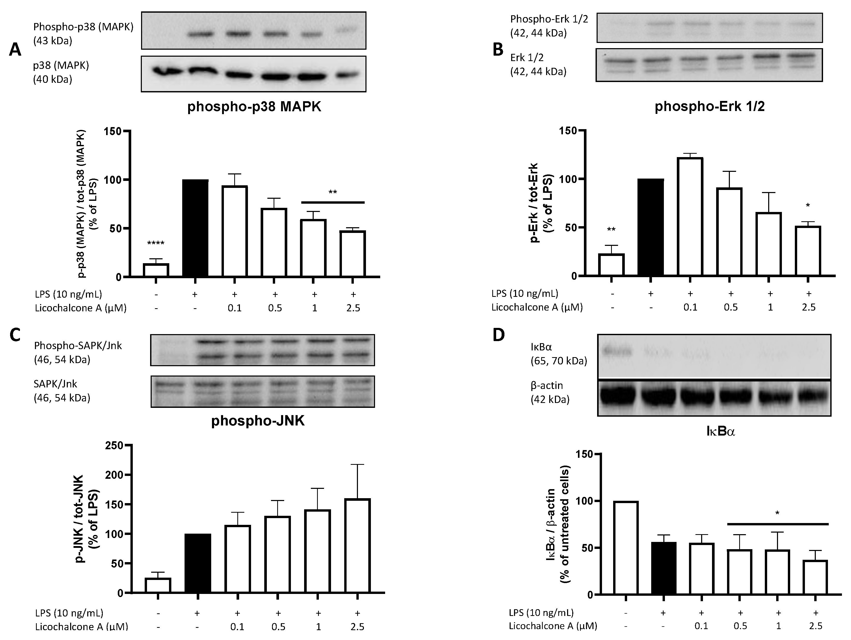 Molecules 28 01927 g007