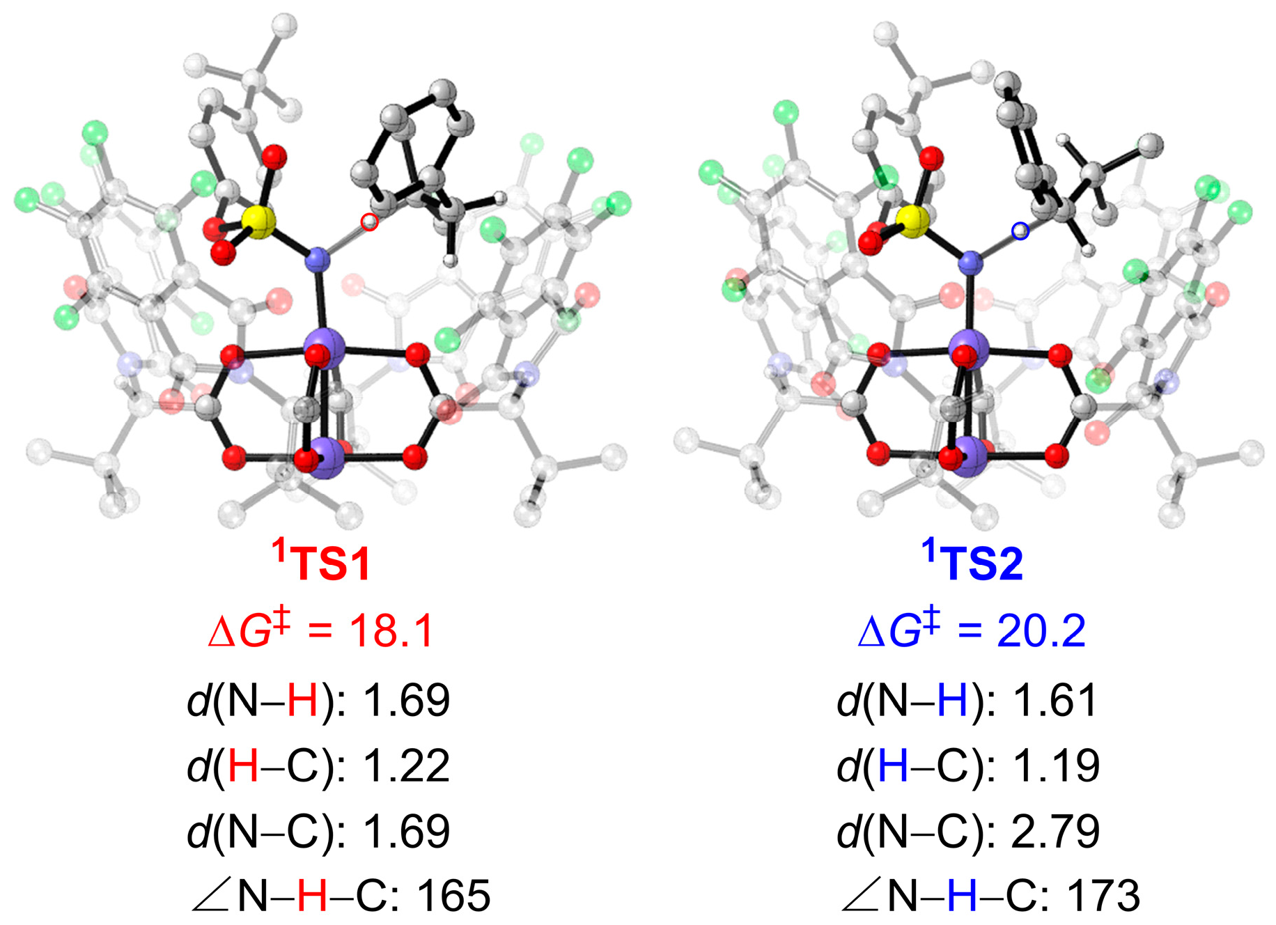 Molecules 28 01928 g006