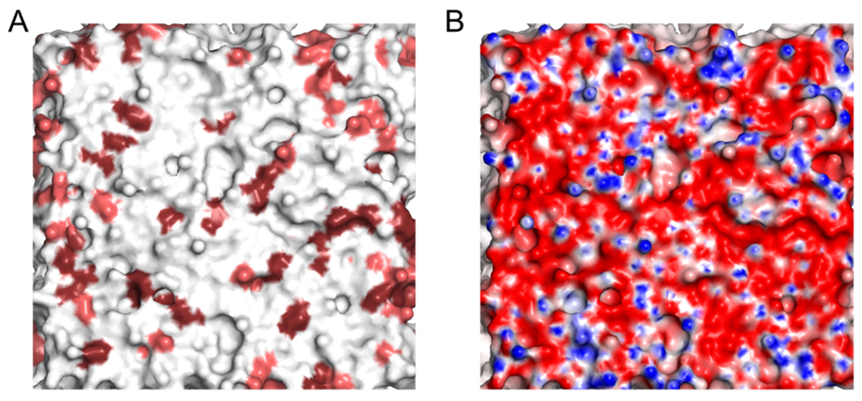 Molecules 28 01929 g003