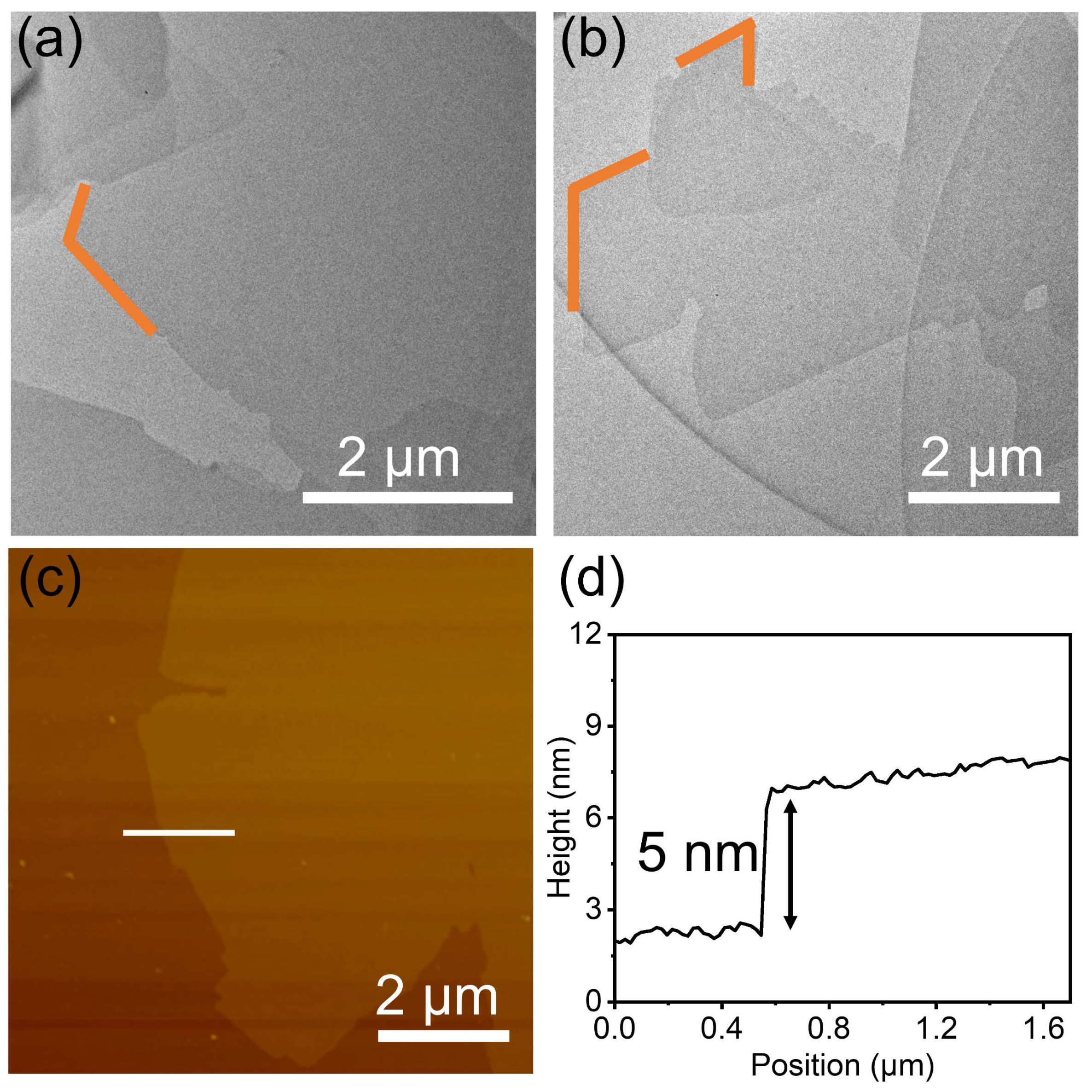Molecules 28 01930 g002