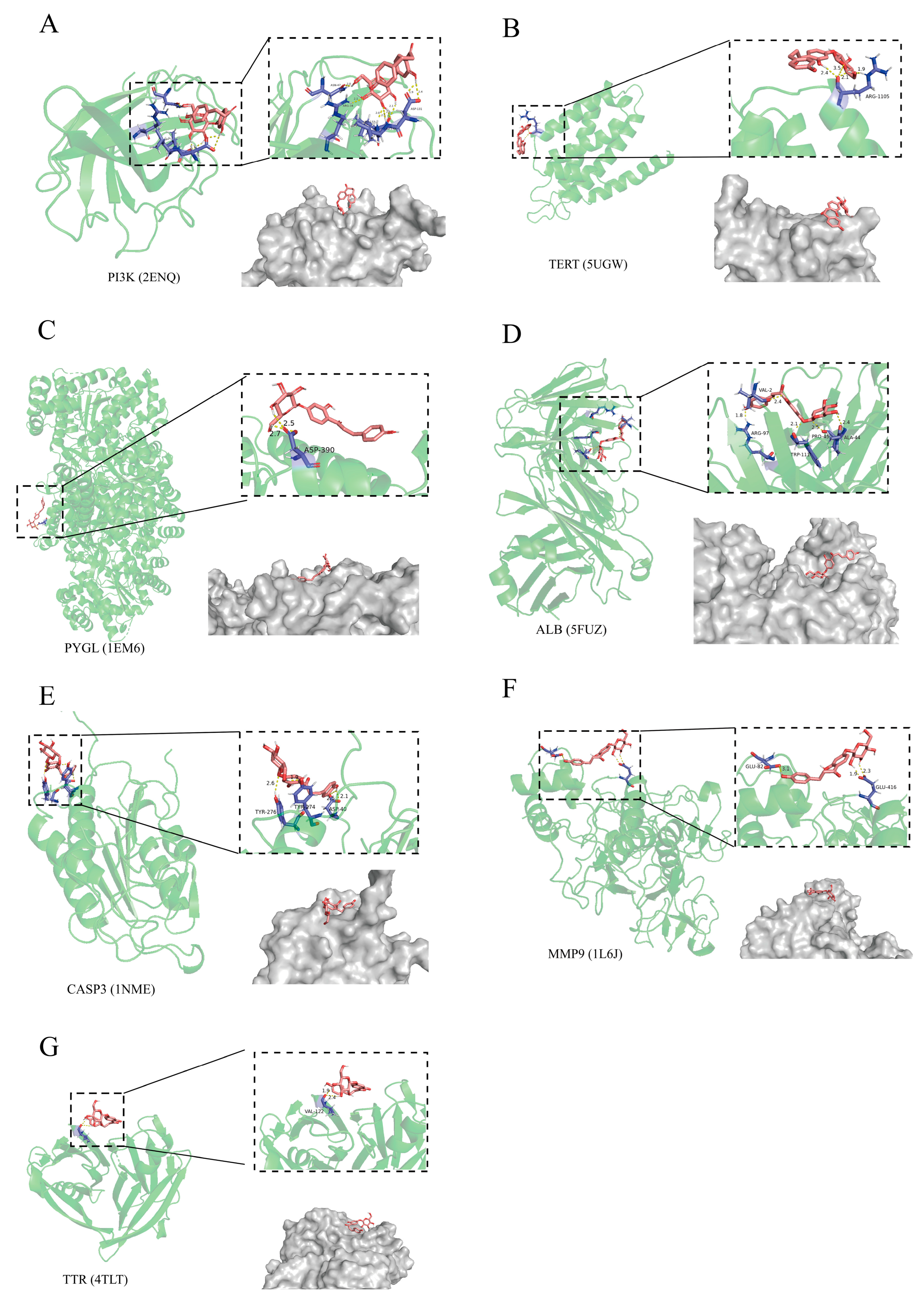 Molecules 28 01932 g004
