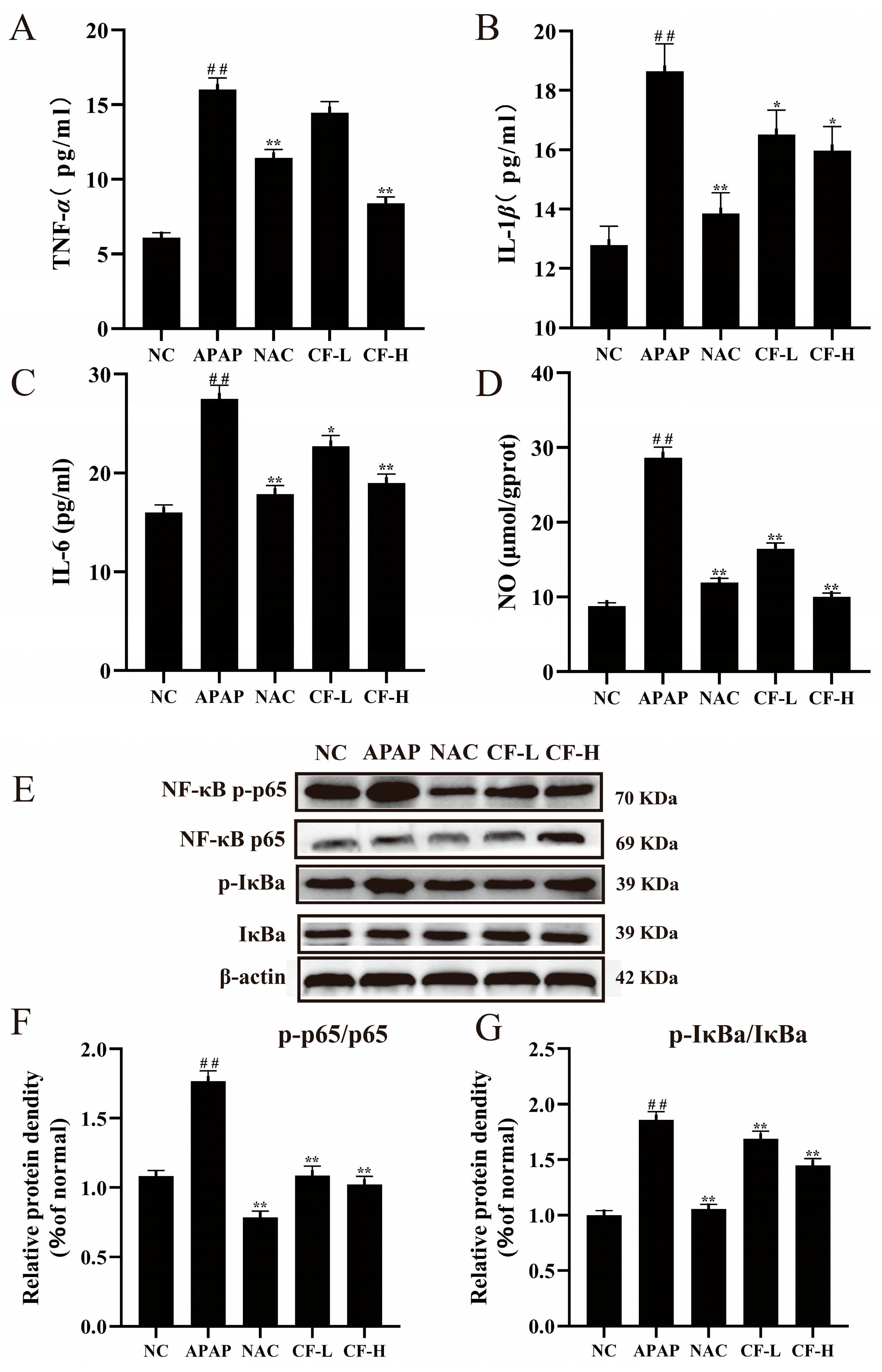 Molecules 28 01932 g006