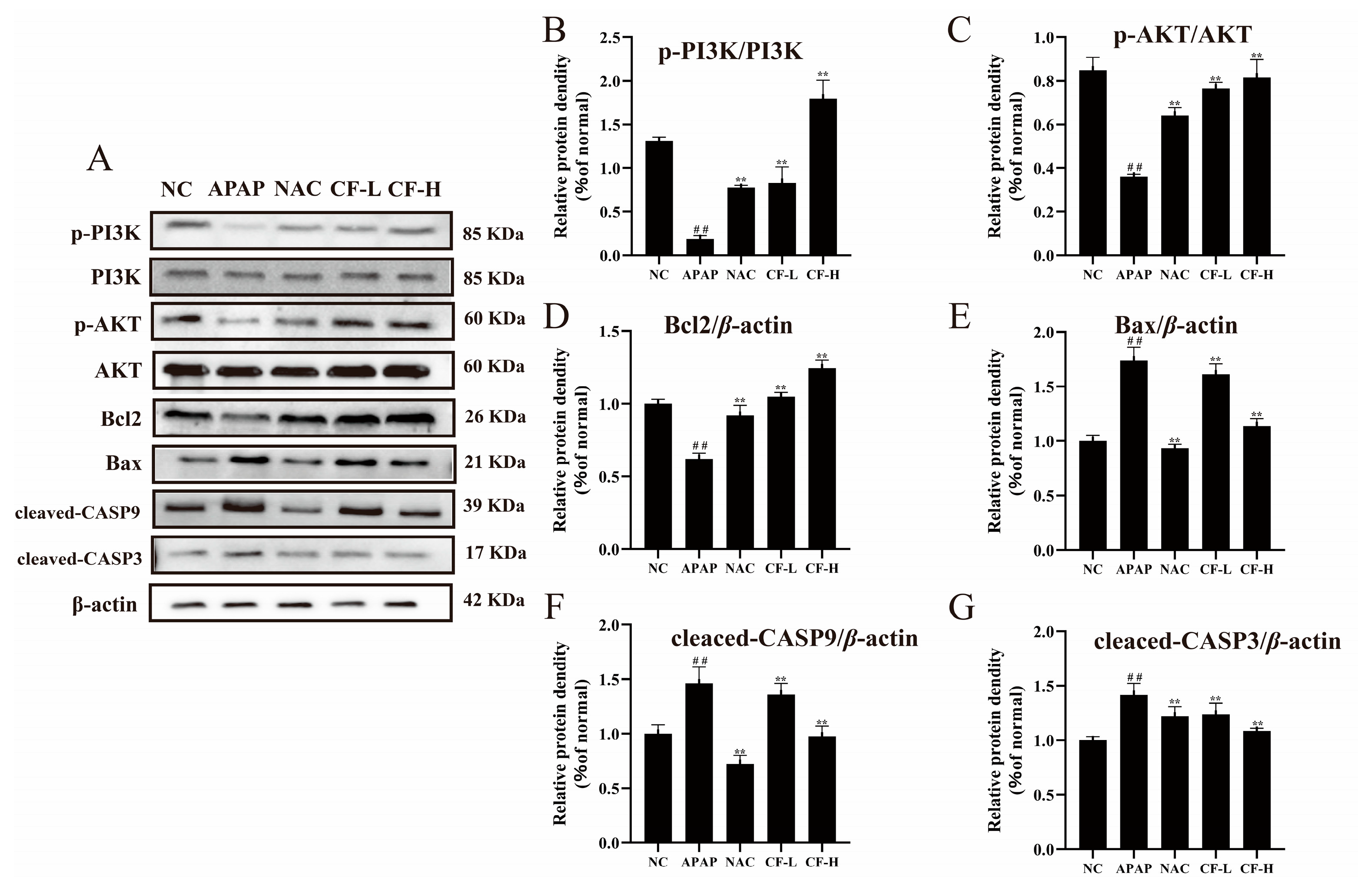Molecules 28 01932 g008