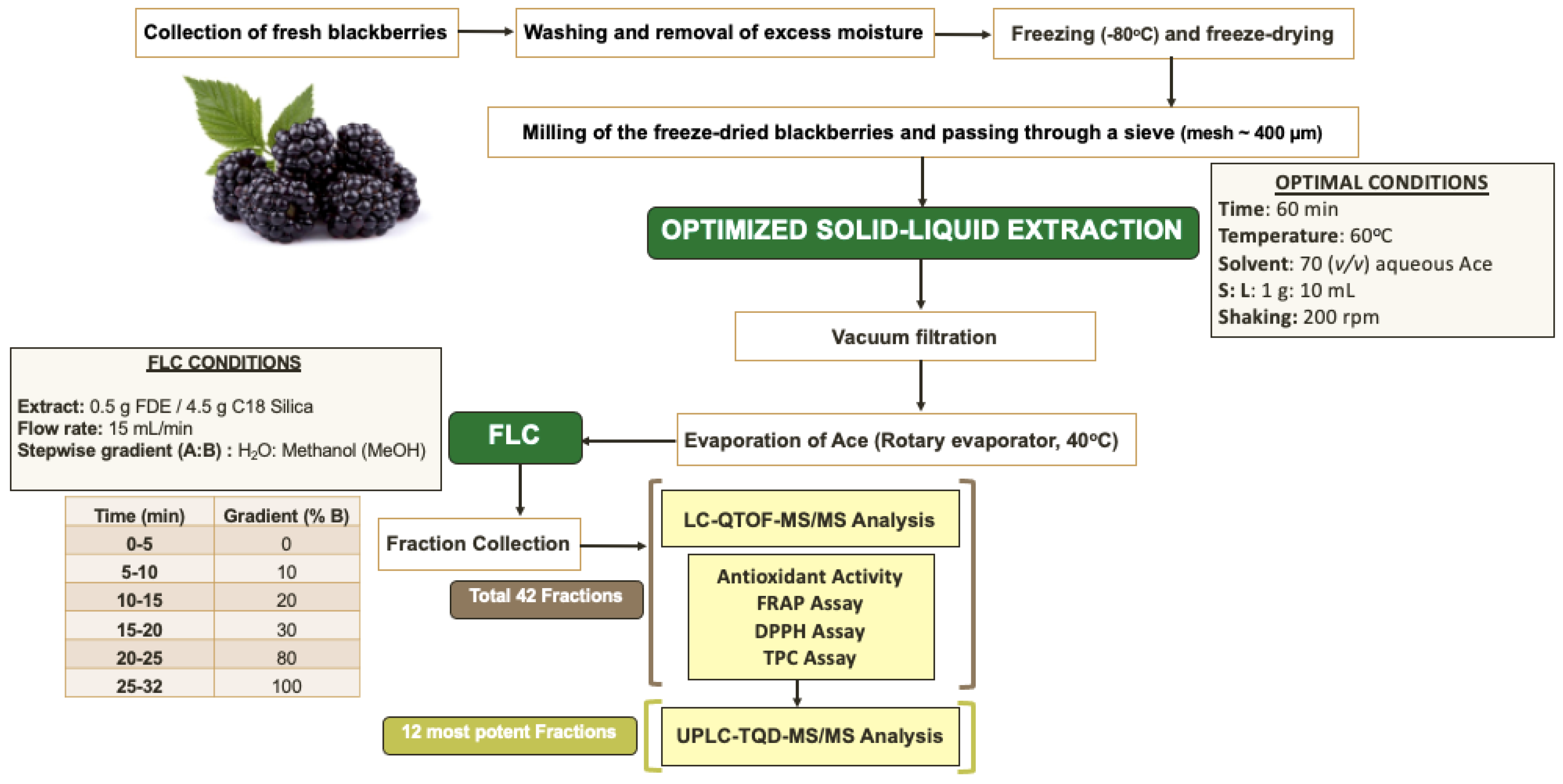 Molecules 28 01933 g004