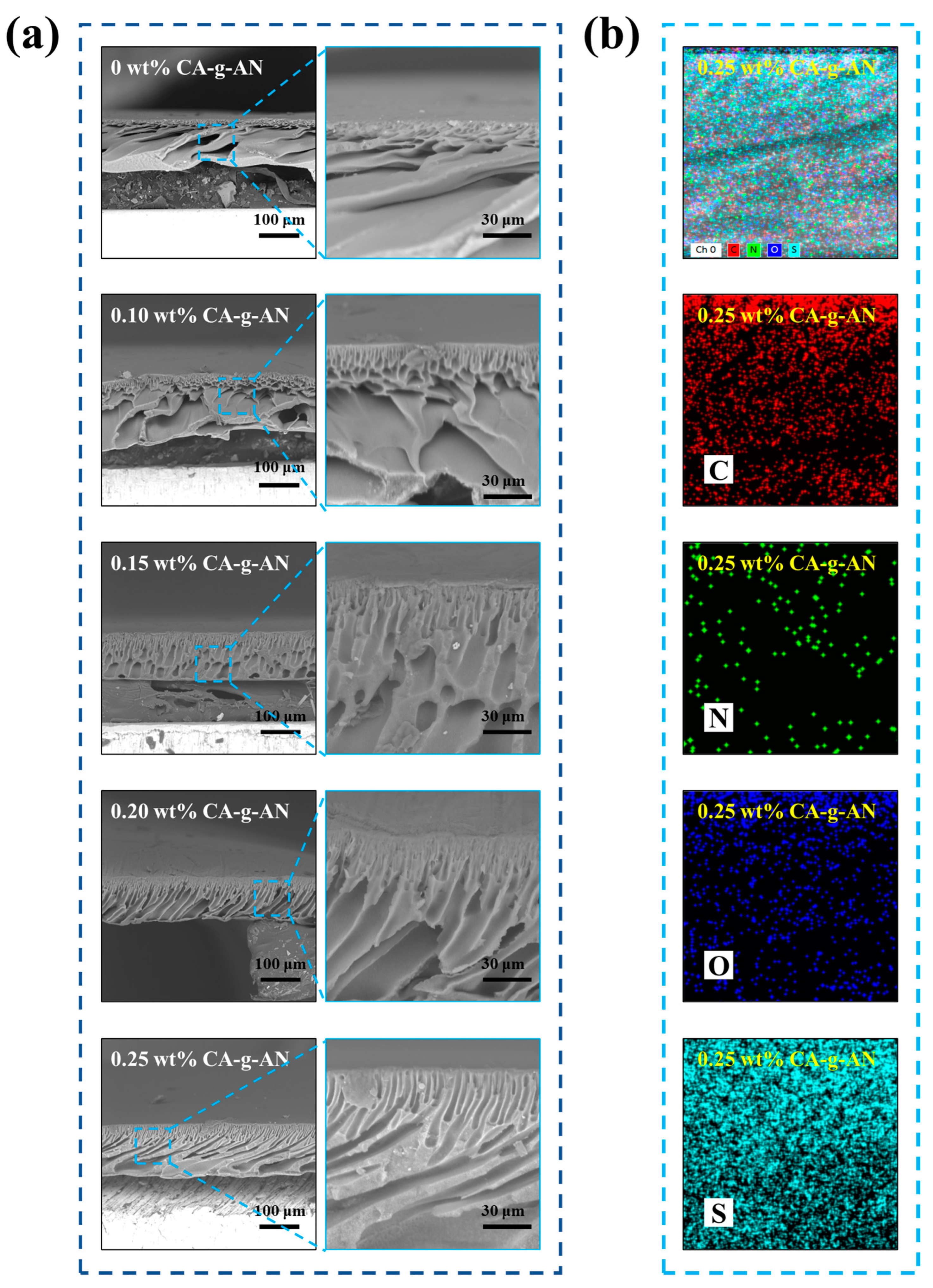 Molecules 28 01936 g006 Molecules 28 01936 g006