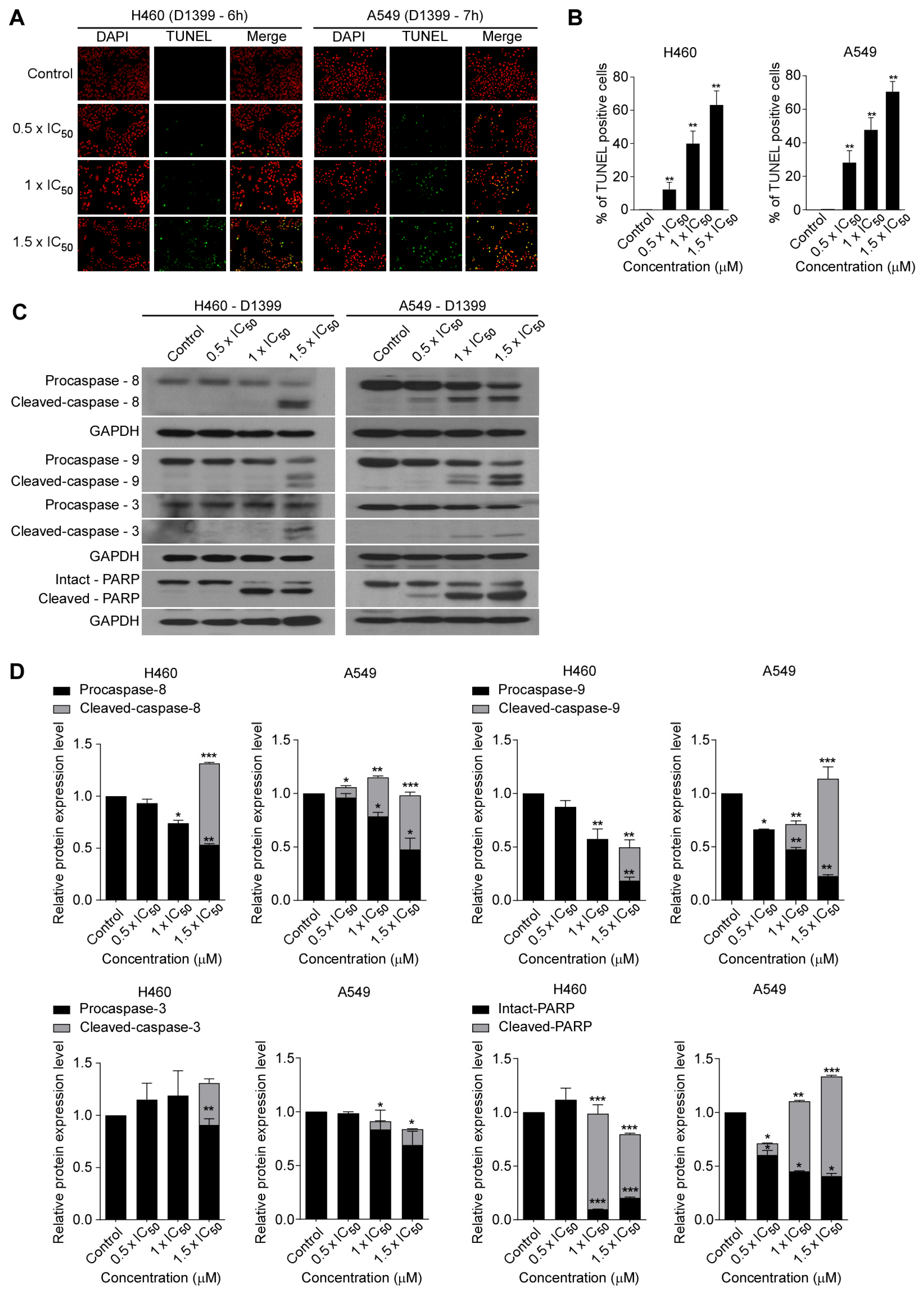 Molecules 28 01939 g003 Molecules 28 01939 g003