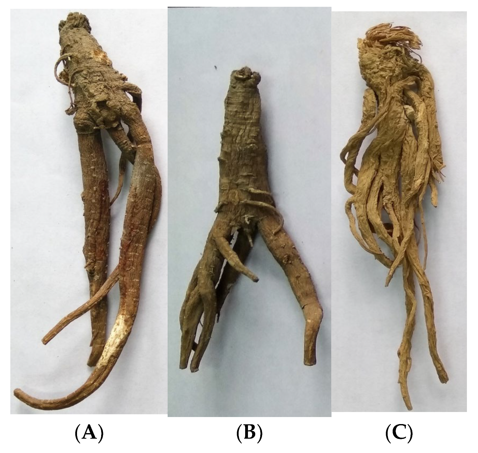 Molecules 28 01942 g007 Molecules 28 01942 g007