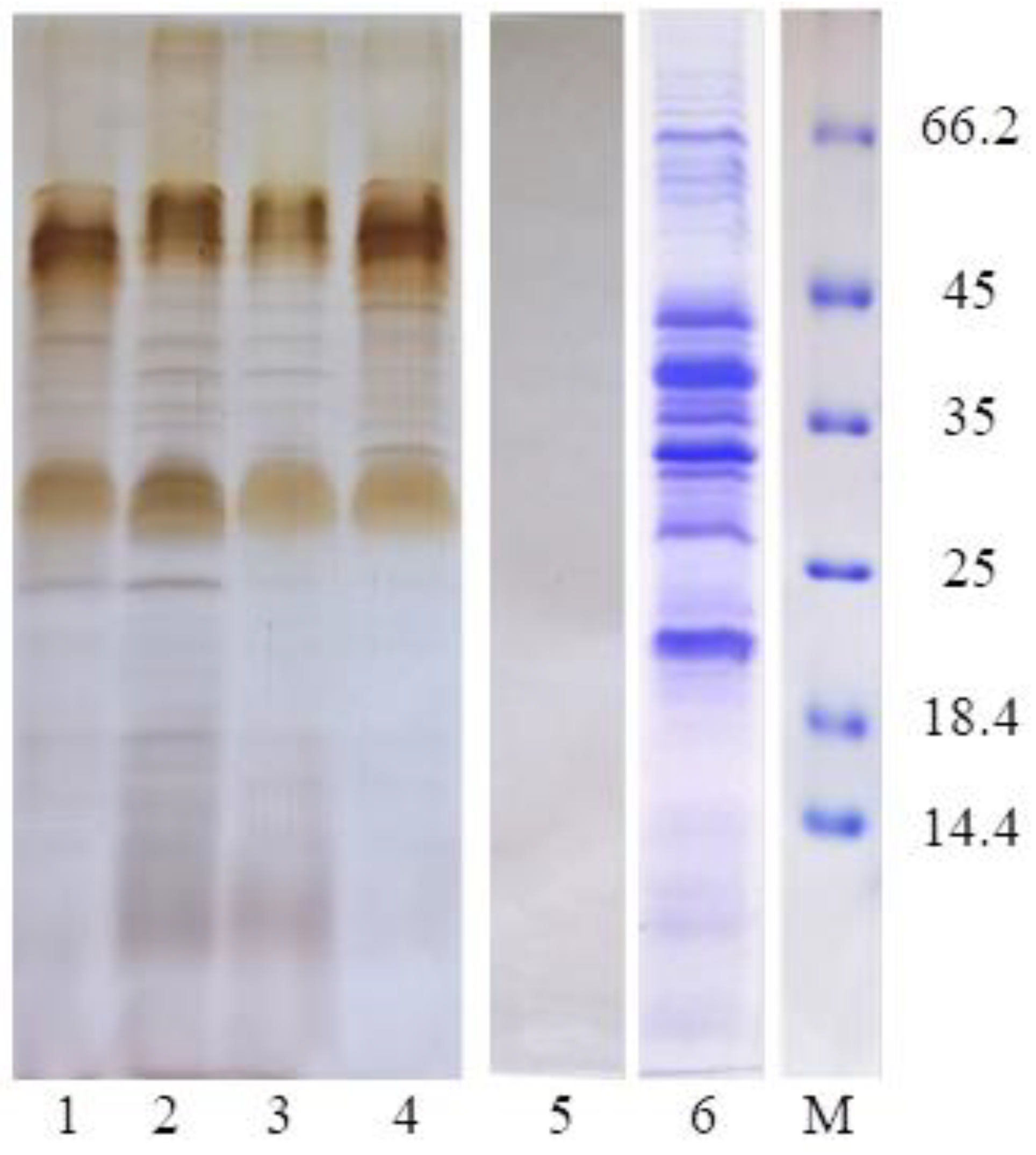 Molecules 28 01949 g005