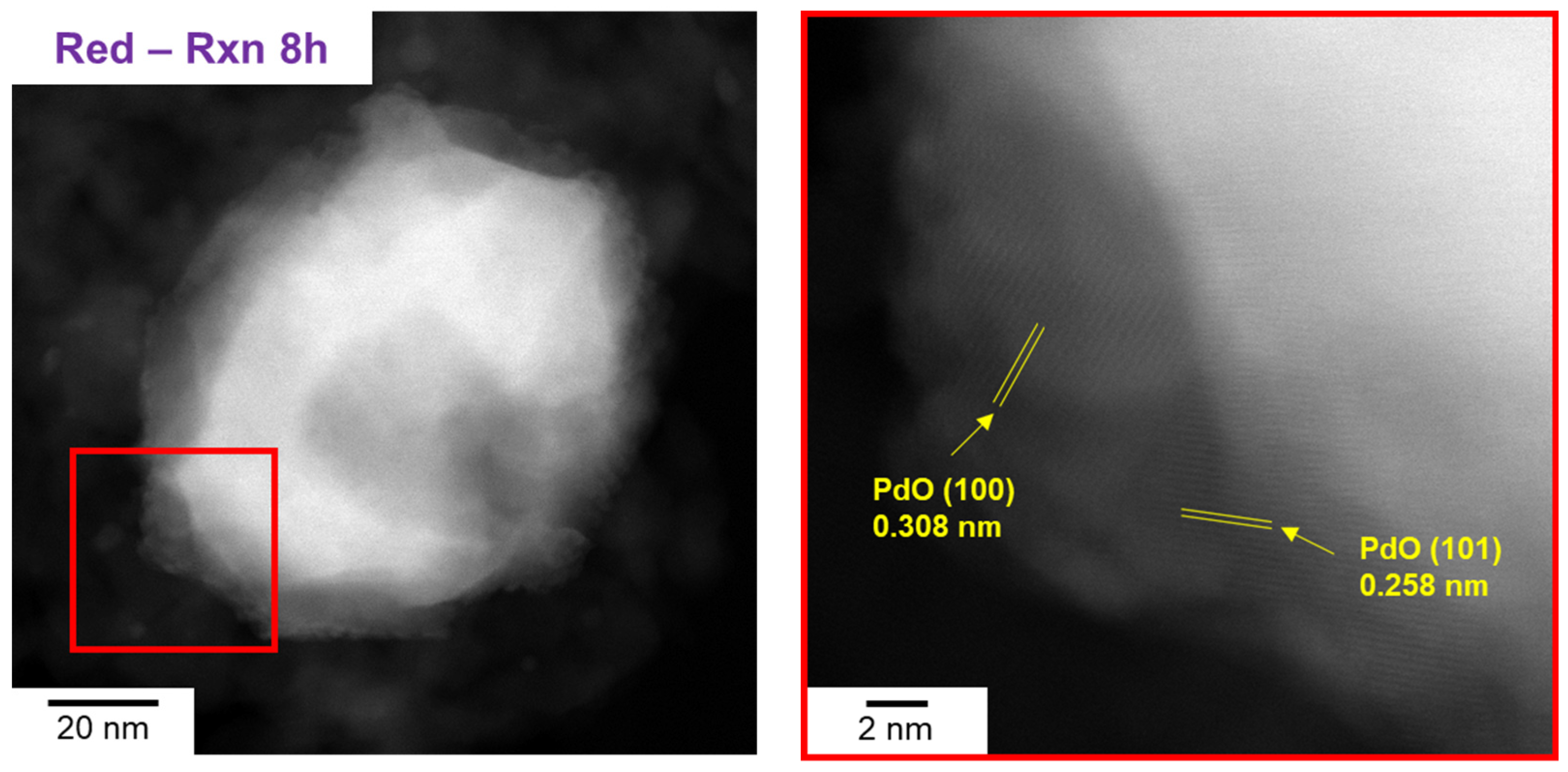 Molecules 28 01957 g008 Molecules 28 01957 g008
