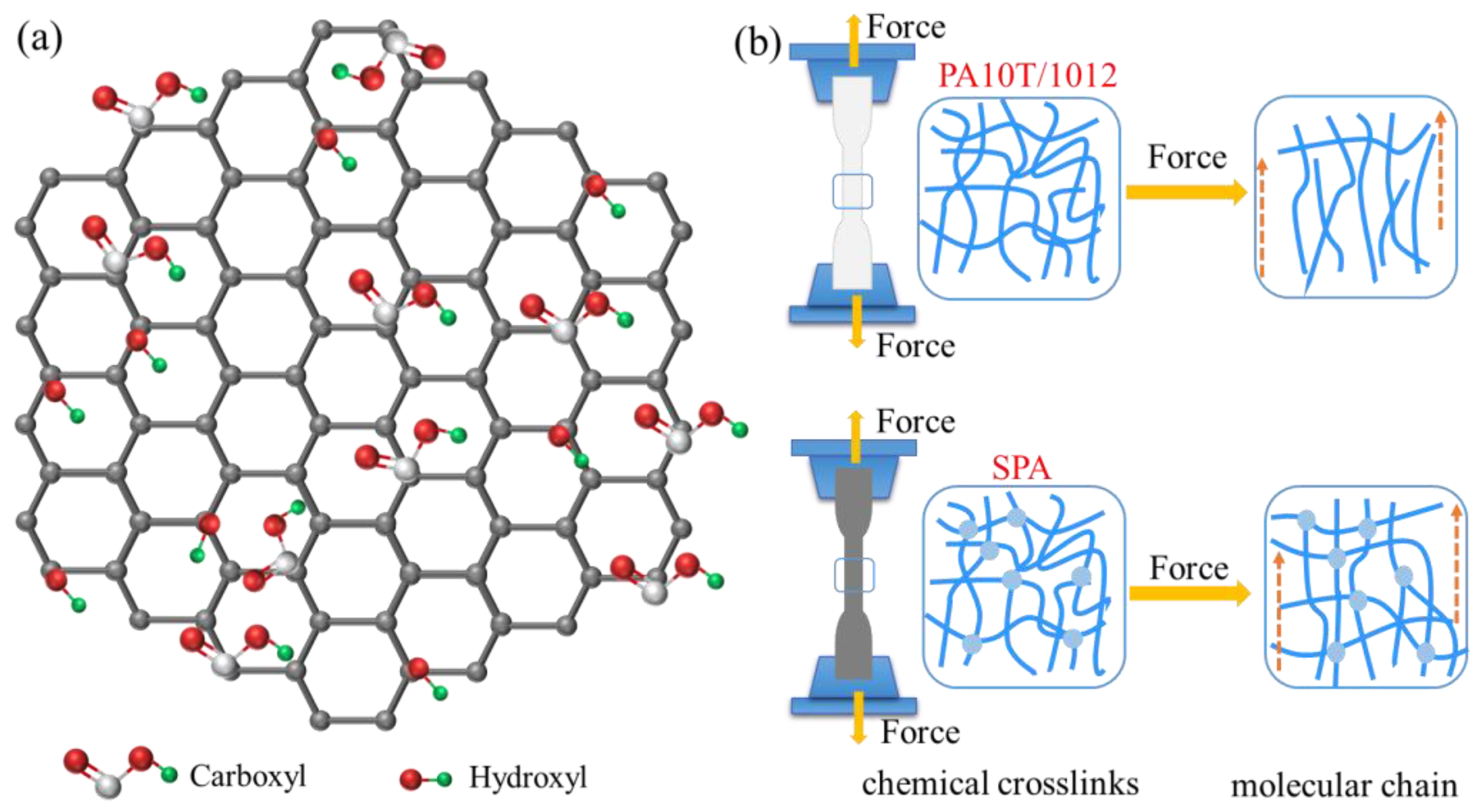 Molecules 28 01960 g012