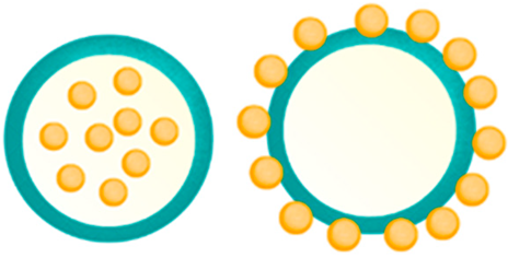 Molecules 28 01963 i002