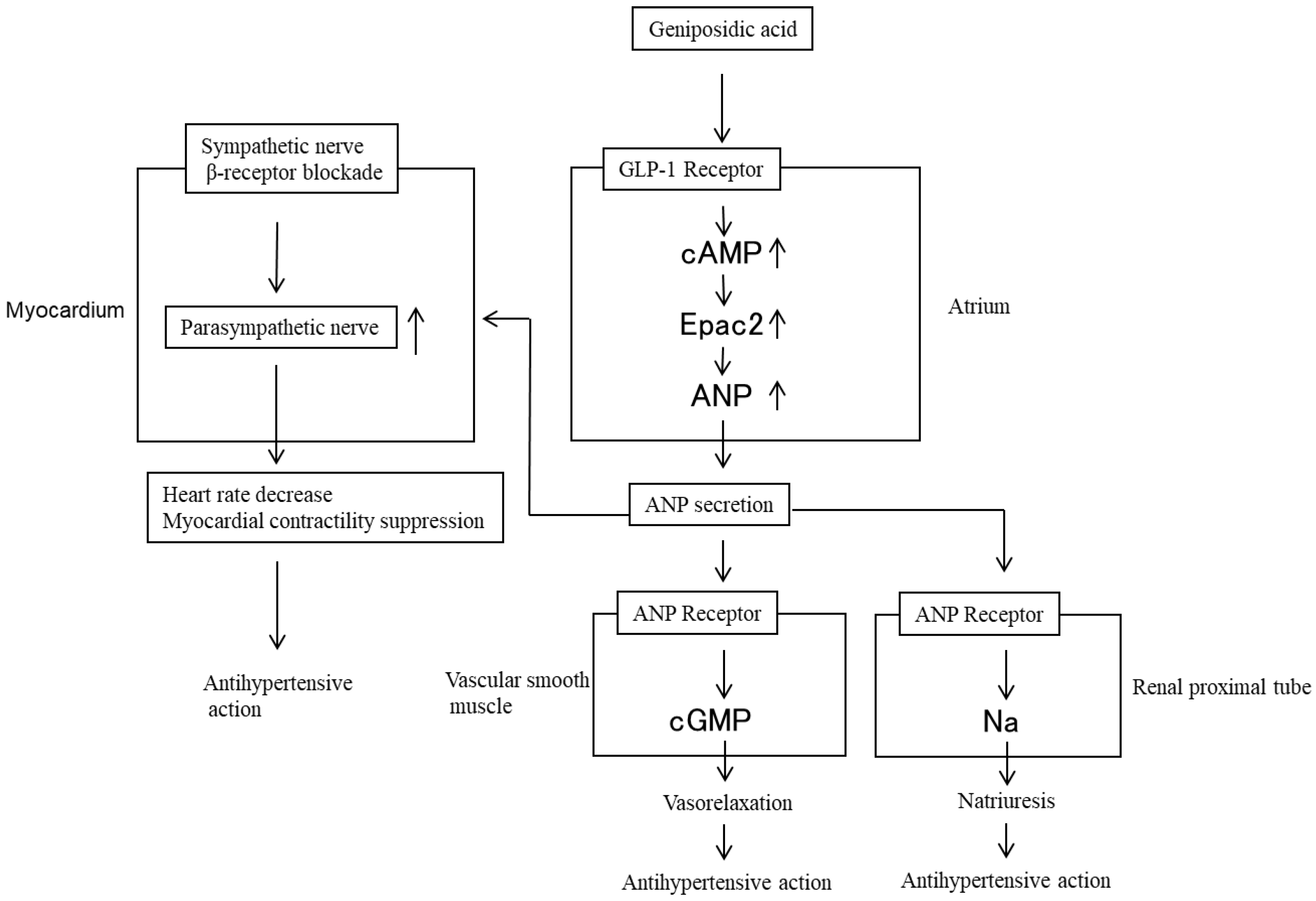 Molecules 28 01964 g004