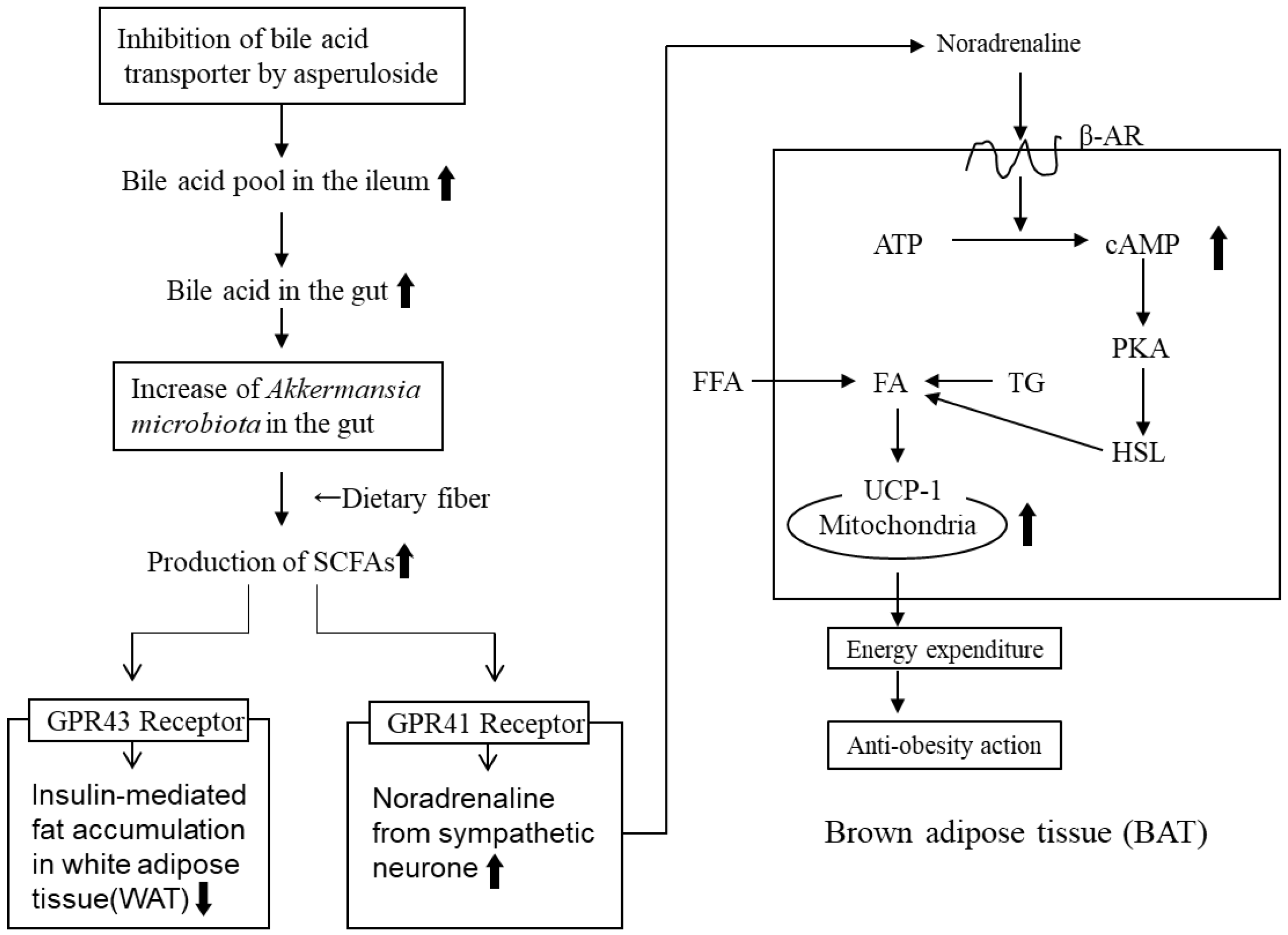 Molecules 28 01964 g005
