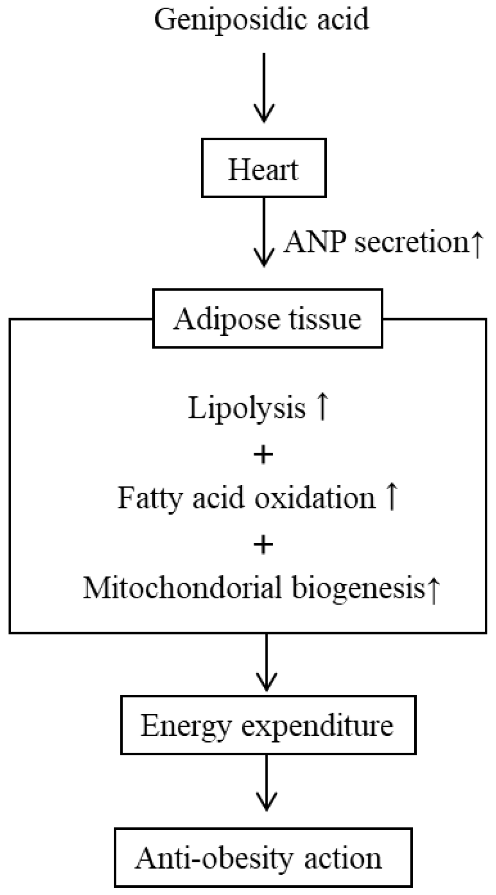 Molecules 28 01964 g006