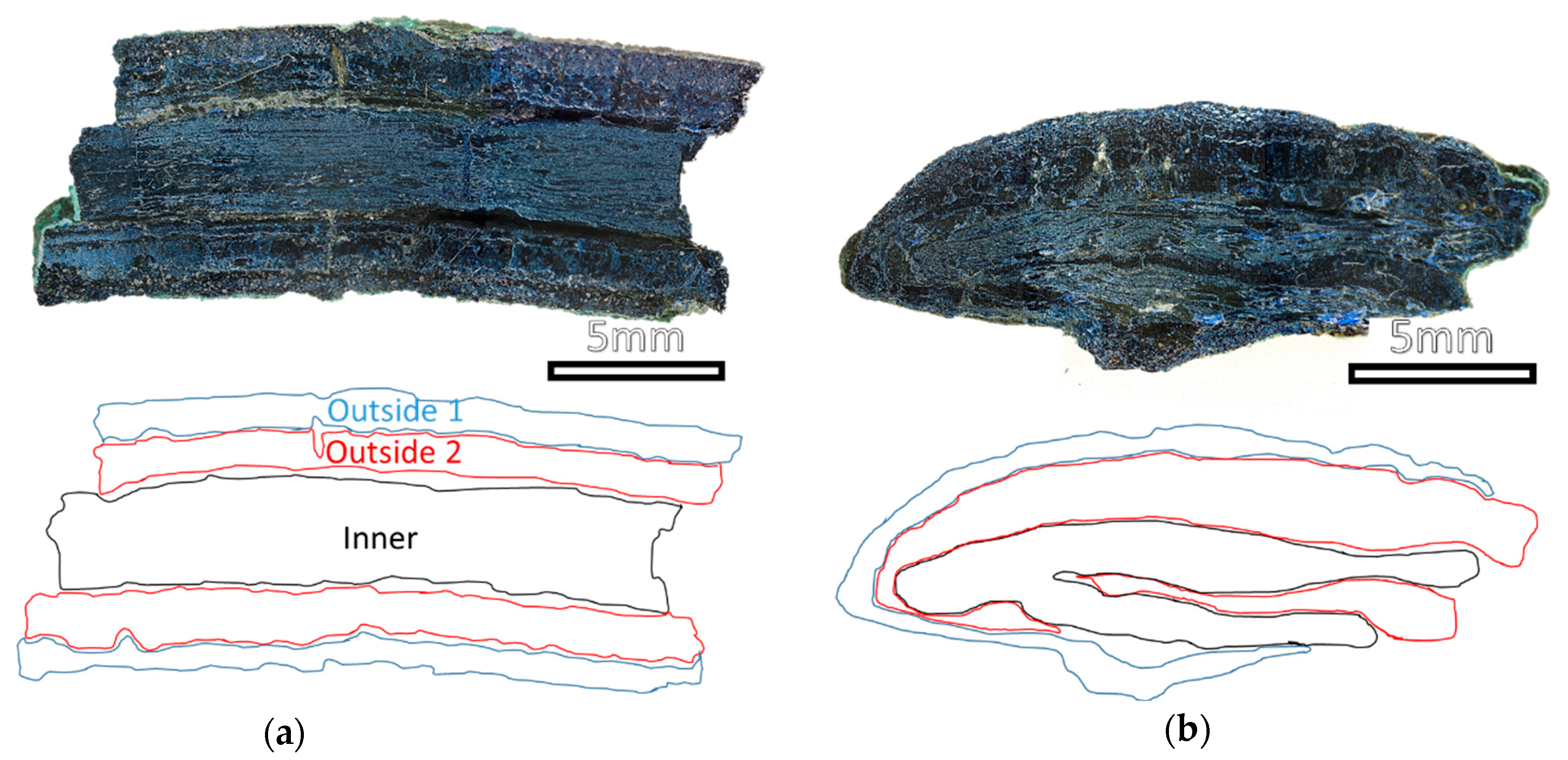 Molecules 28 01968 g004