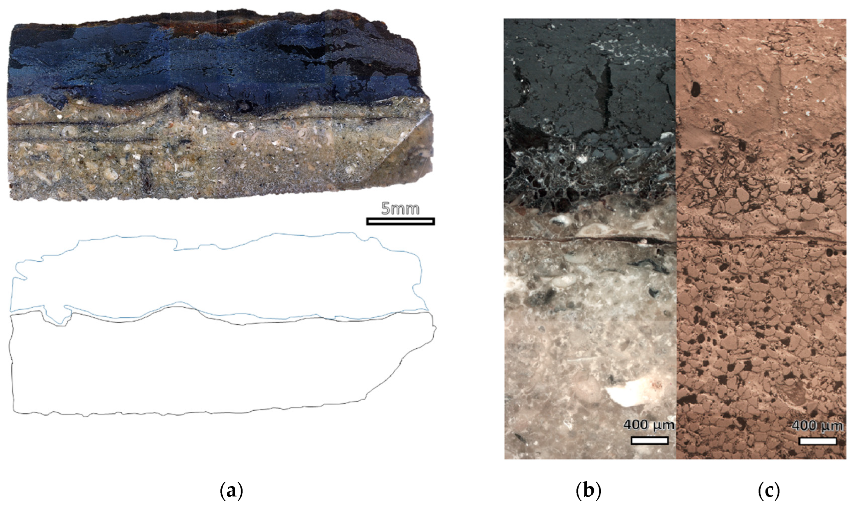 Molecules 28 01968 g008