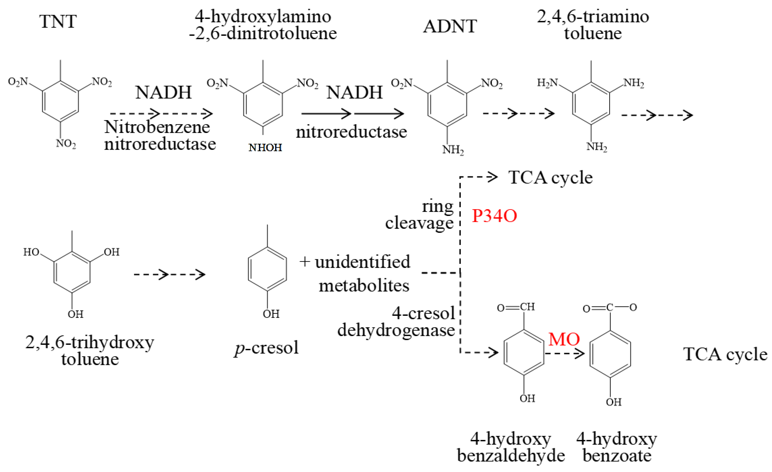 Molecules 28 01969 g007 Molecules 28 01969 g007