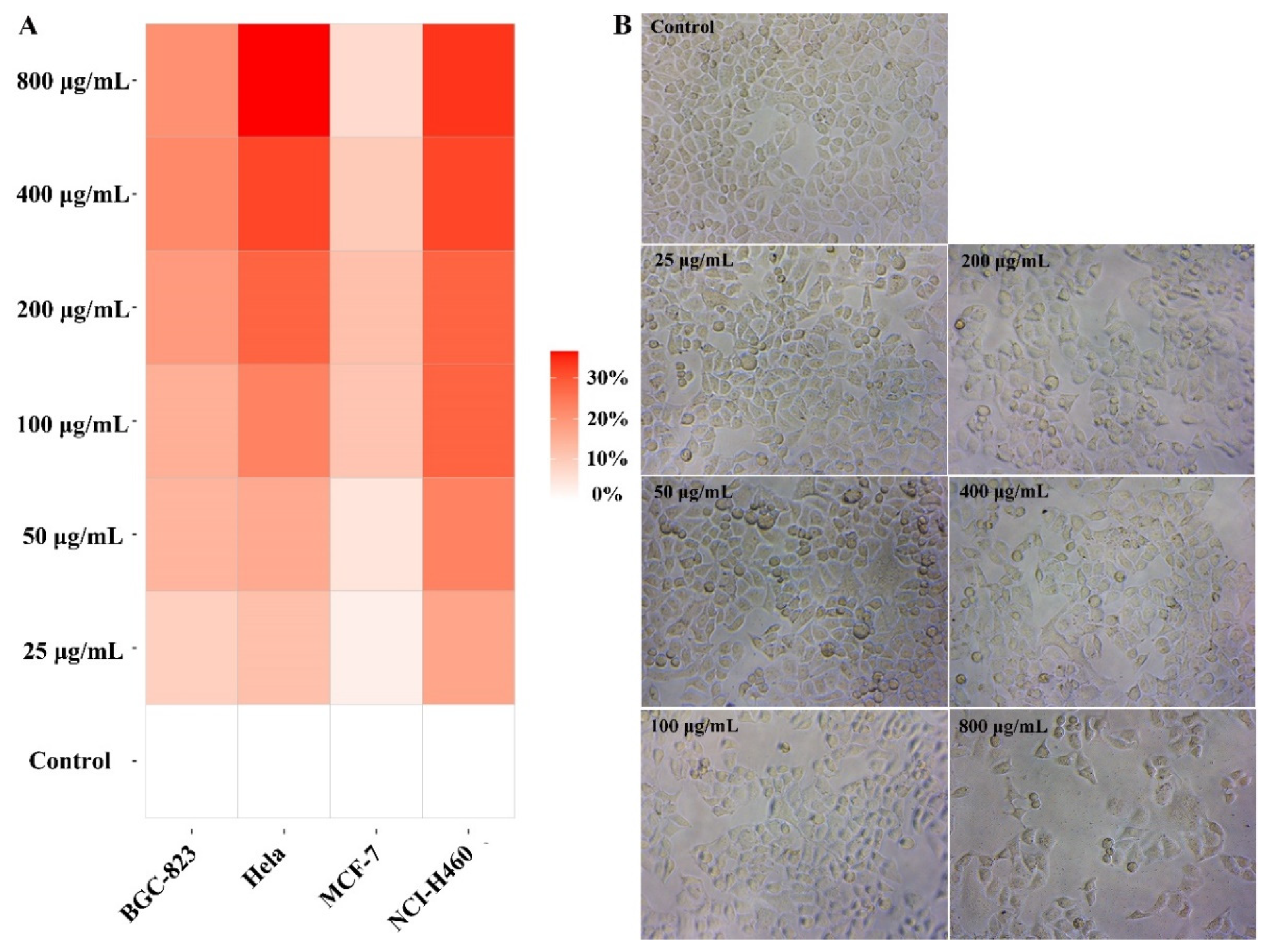 Molecules 28 01971 g003