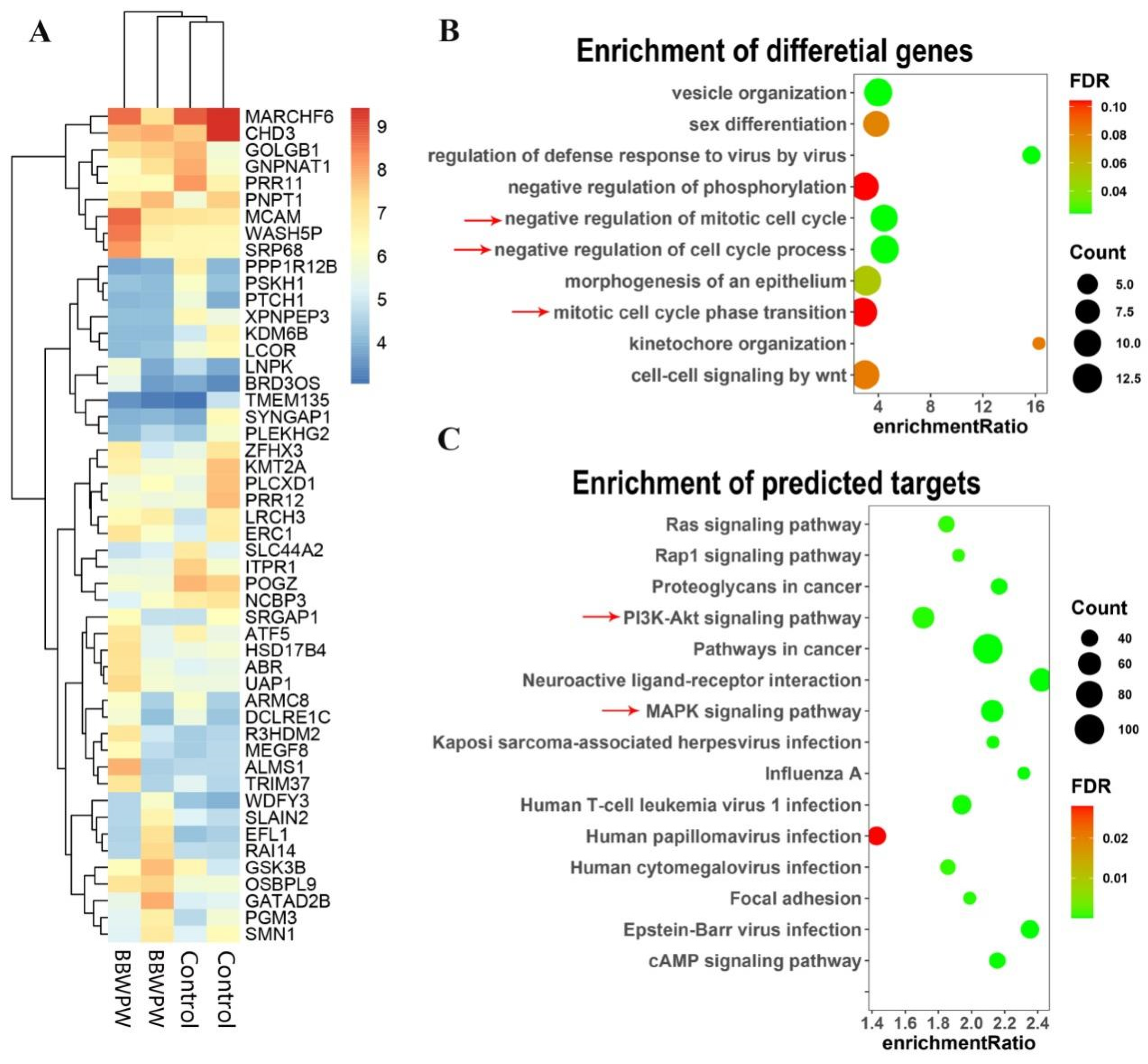 Molecules 28 01971 g006