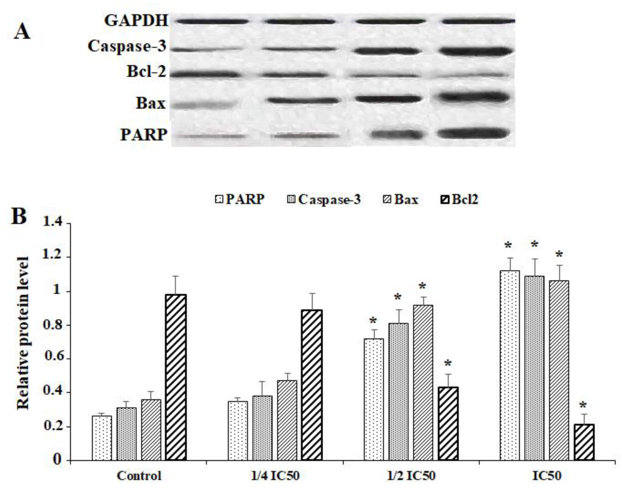 Molecules 28 01972 g005 Molecules 28 01972 g005