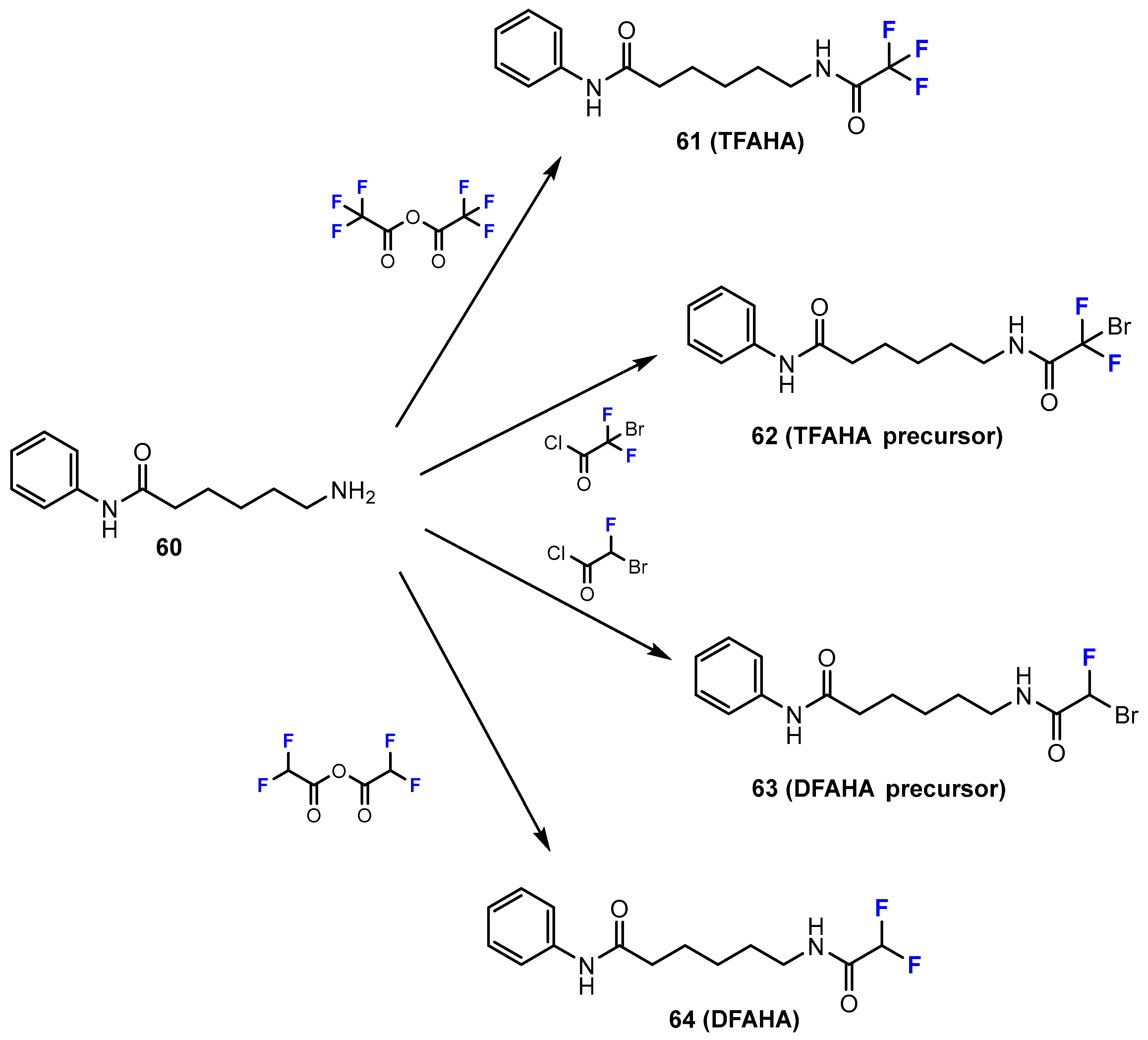 Molecules 28 01973 sch016