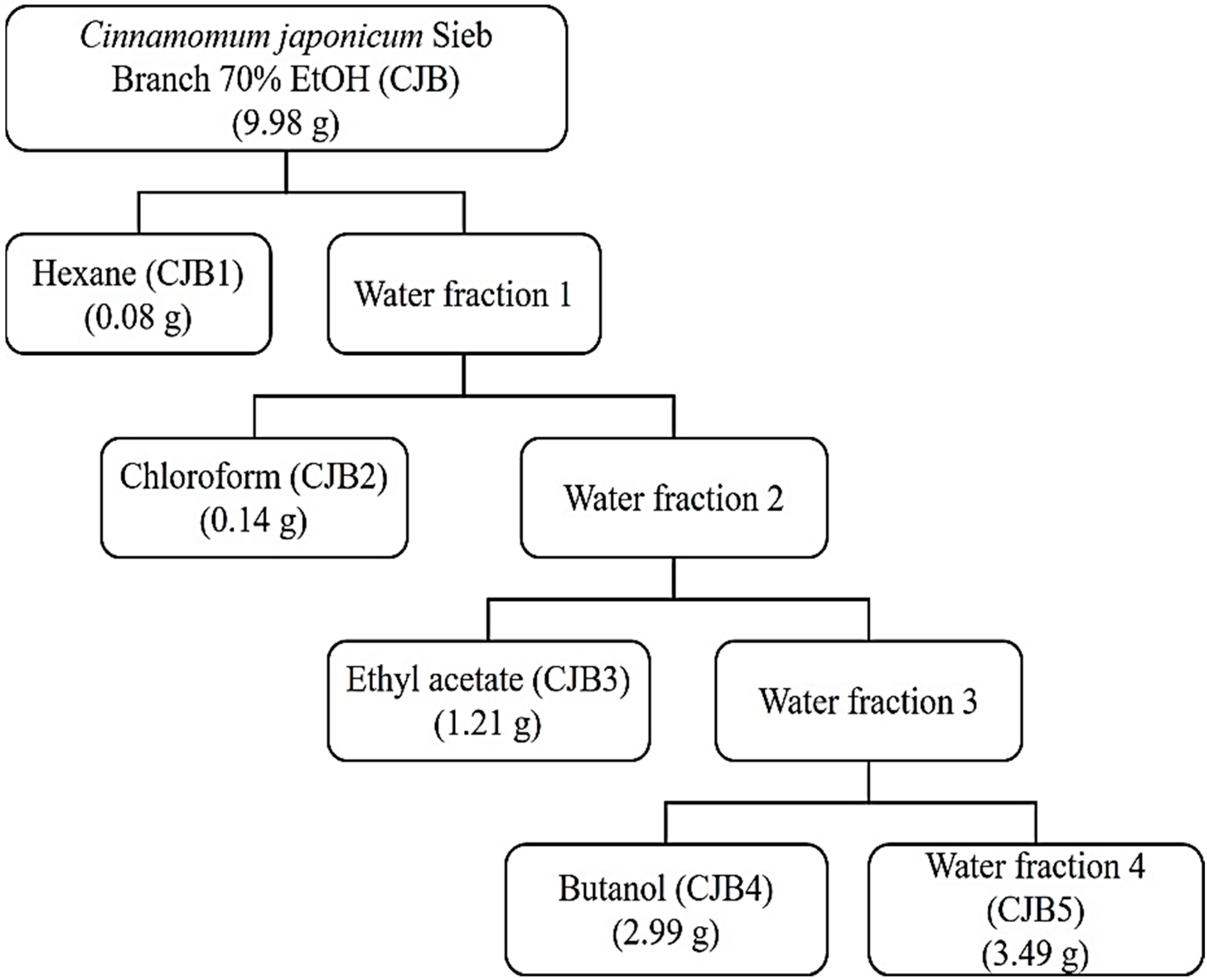 Molecules 28 01974 g001