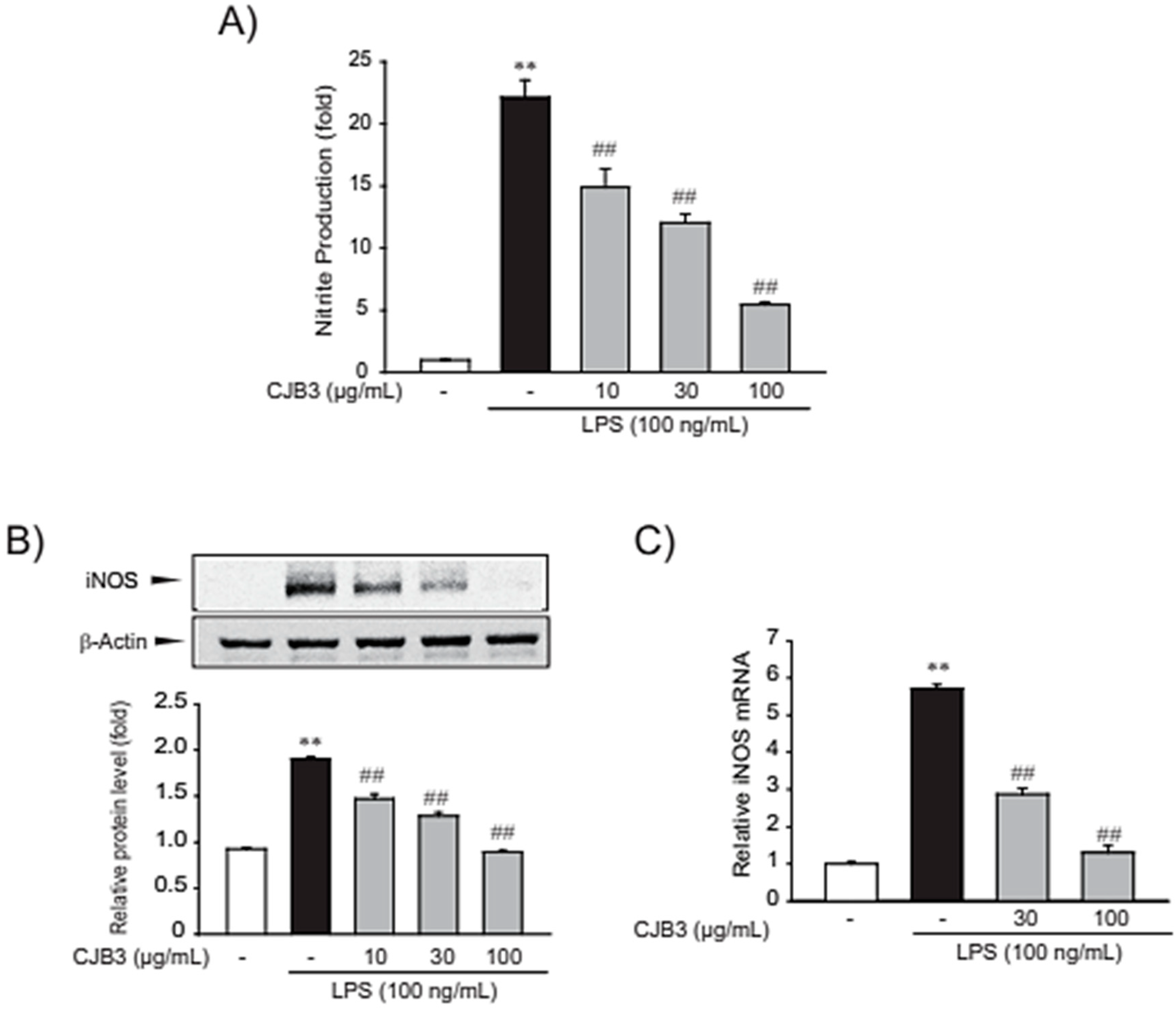 Molecules 28 01974 g005