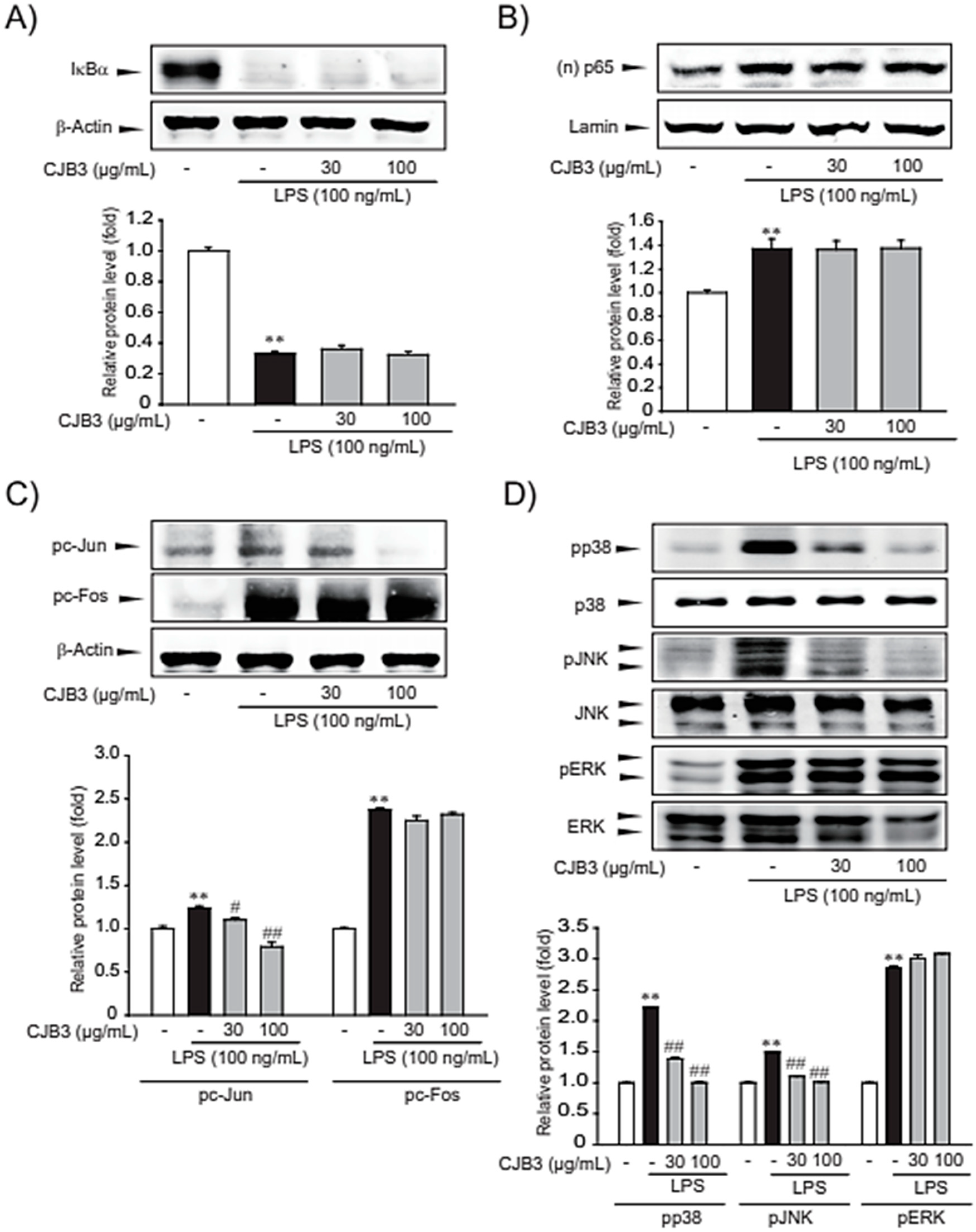 Molecules 28 01974 g007