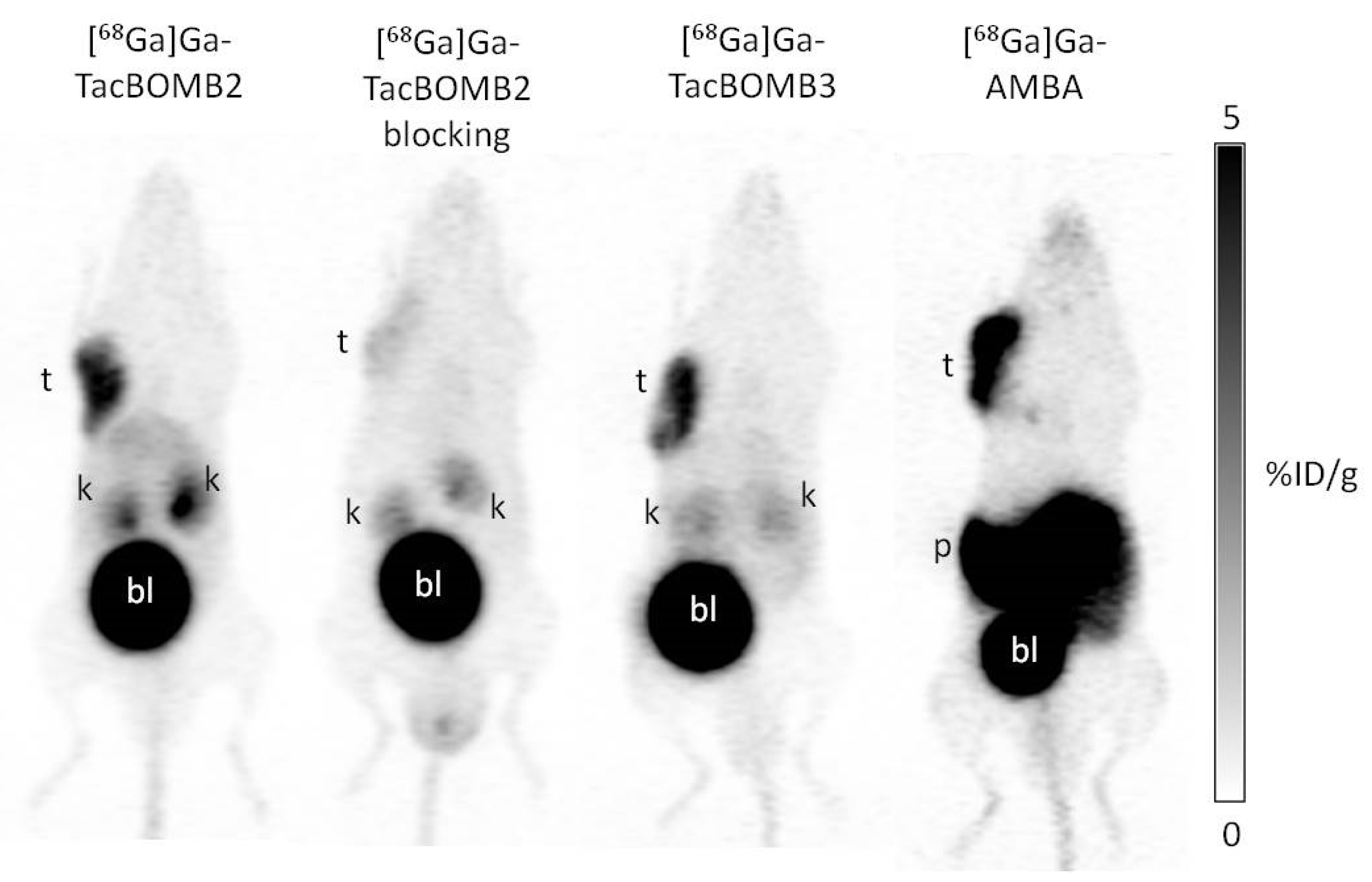 Molecules 28 01977 g004
