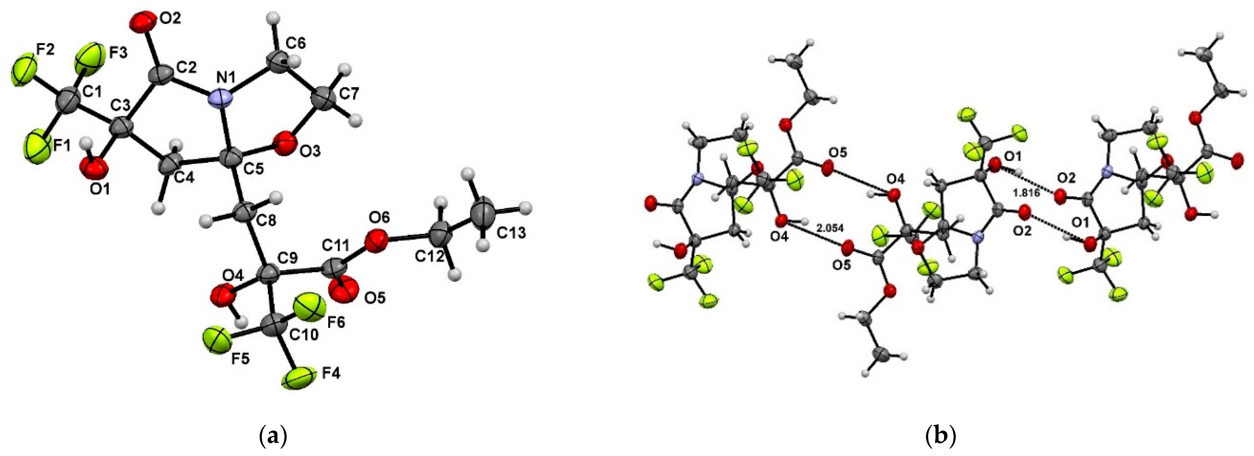 Molecules 28 01983 g004