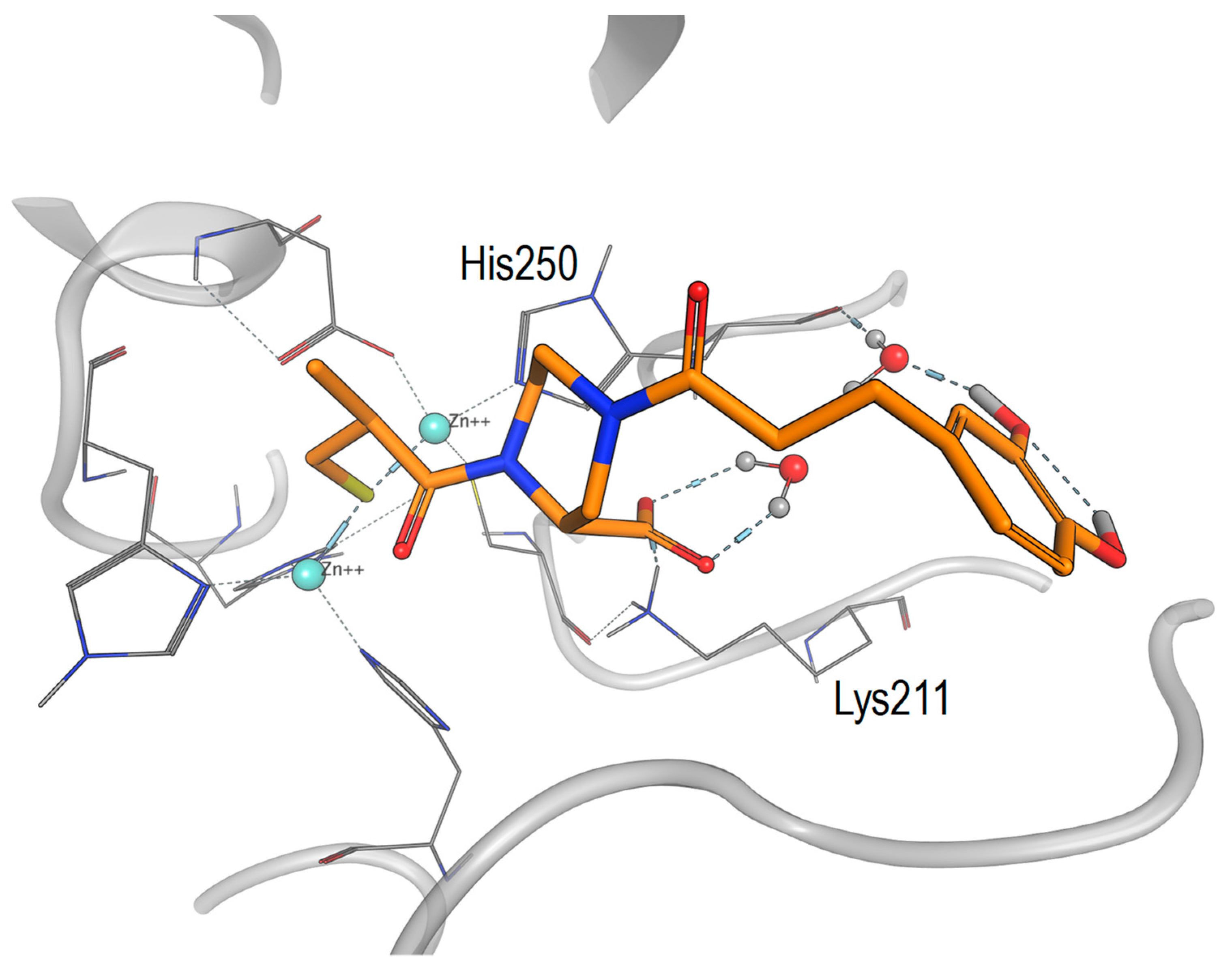 Molecules 28 01984 g005