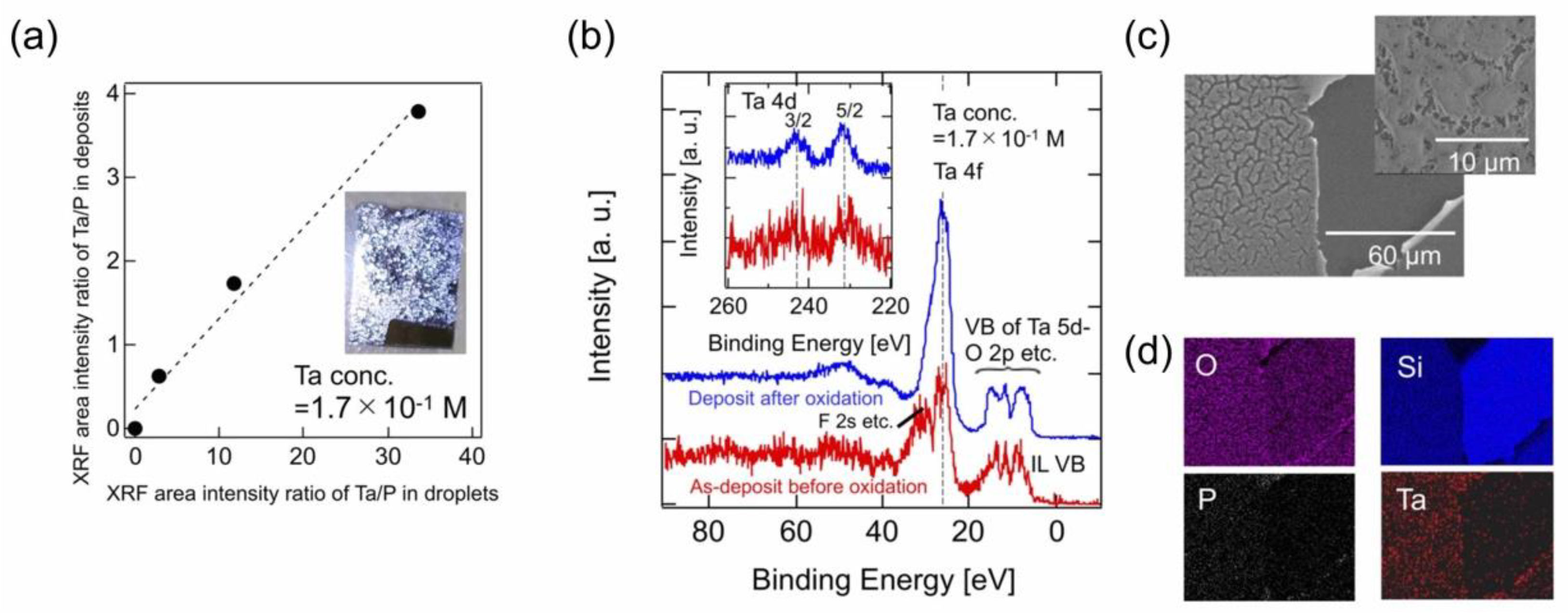 Molecules 28 01991 g012 Molecules 28 01991 g012