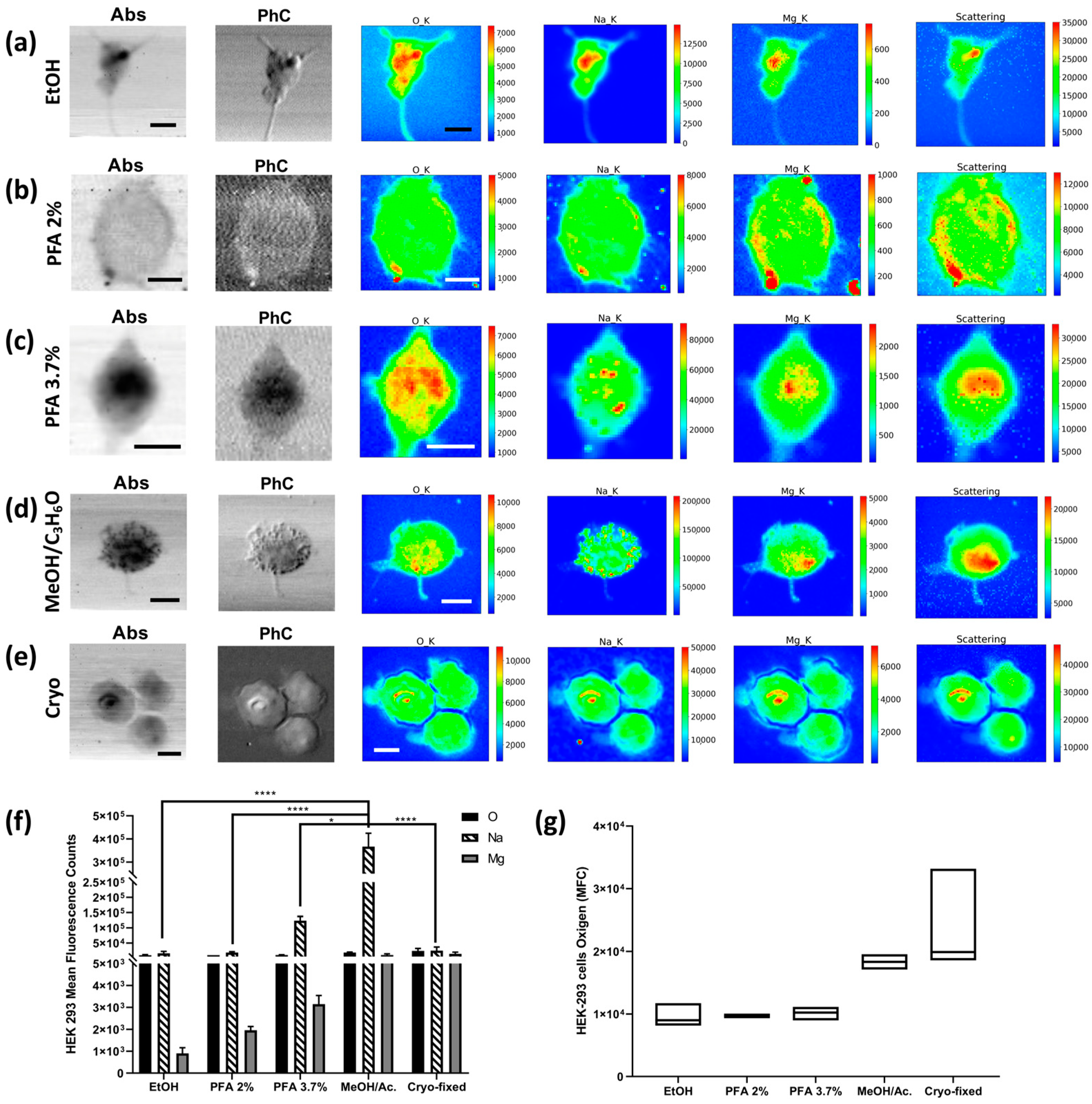 Molecules 28 01992 g006 Molecules 28 01992 g006