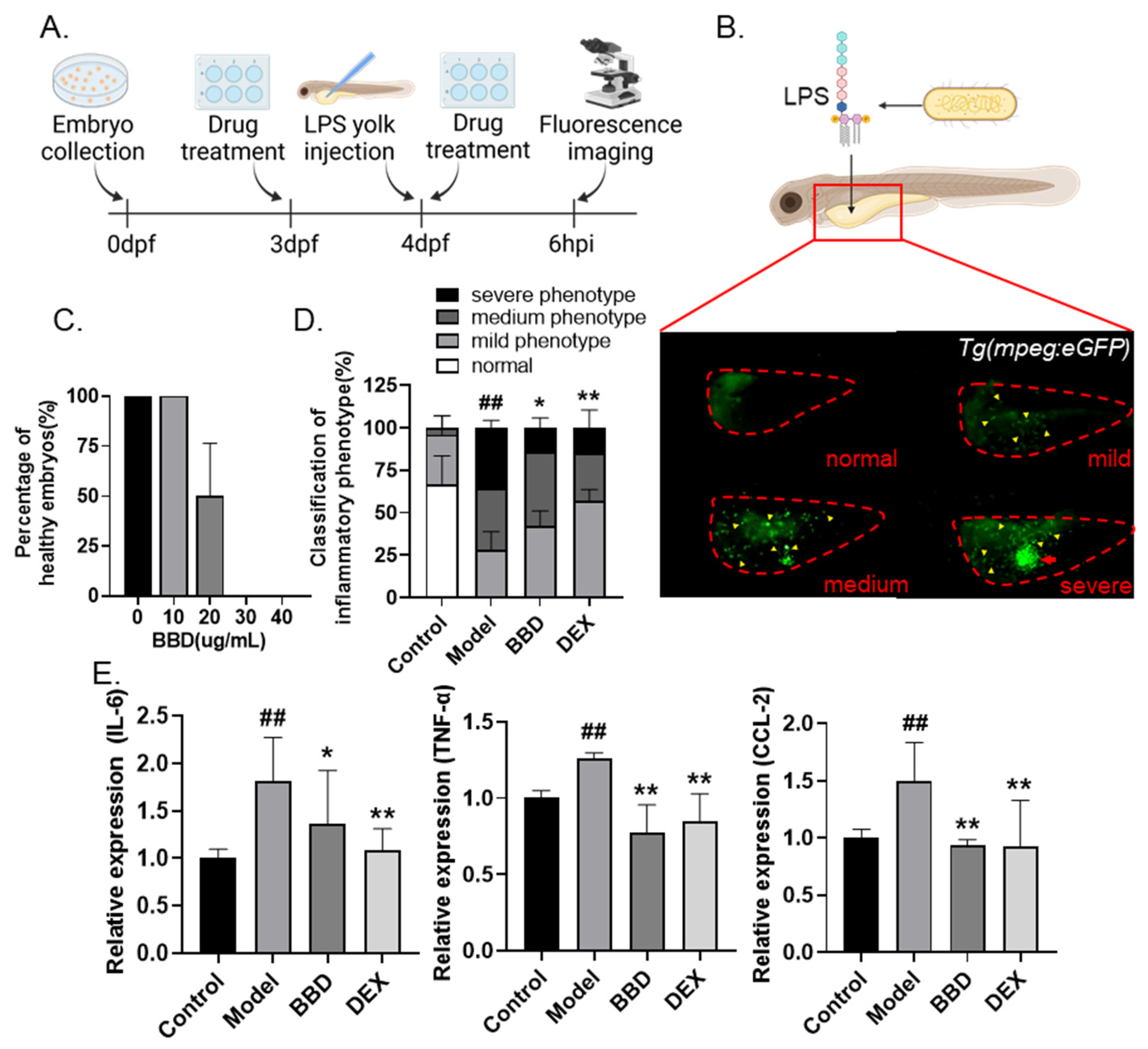Molecules 28 02005 g001