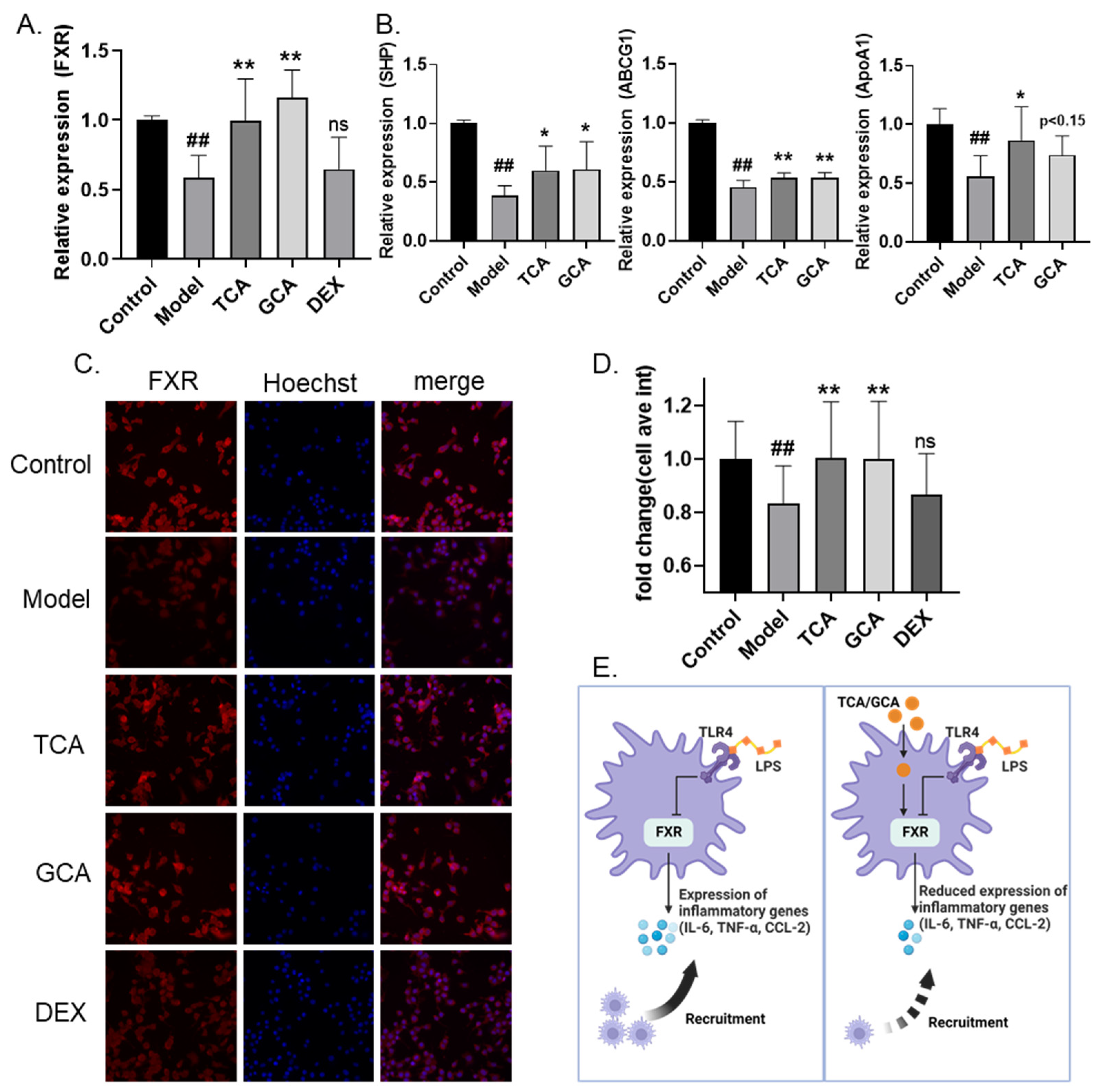 Molecules 28 02005 g006